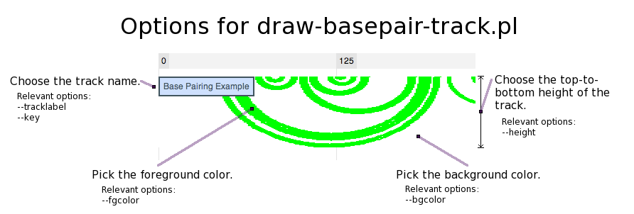 600px|center|thumb|Summary of draw-basepair-track.pl options.