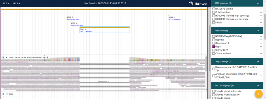 JBrowse 2 ASHG2020 demos