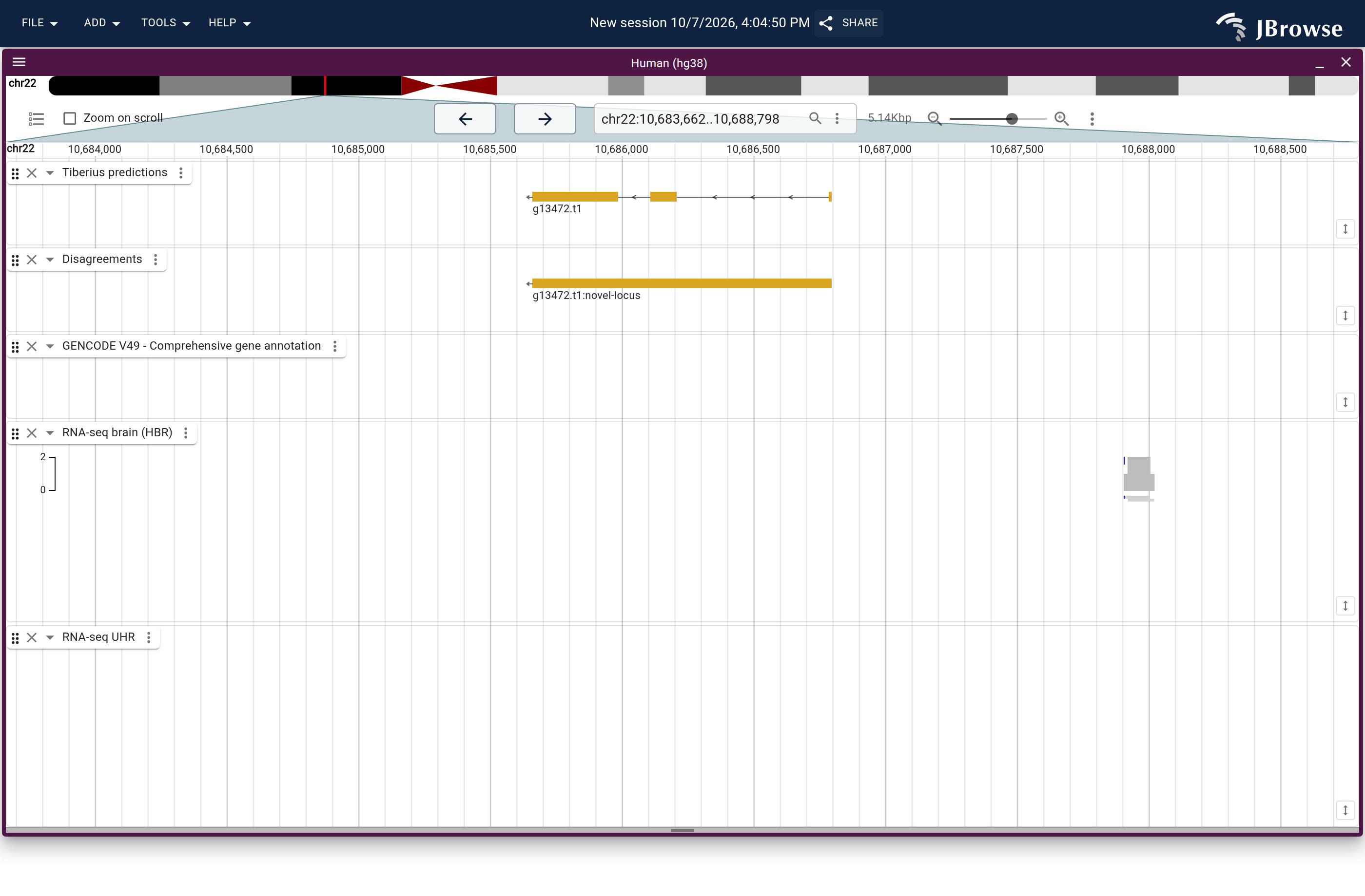 Genome view of g13472.t1