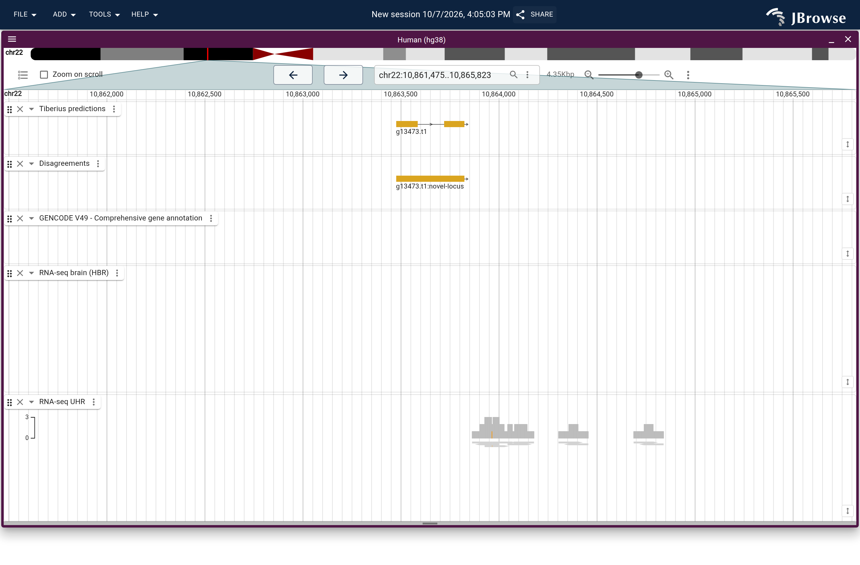Genome view of g13473.t1