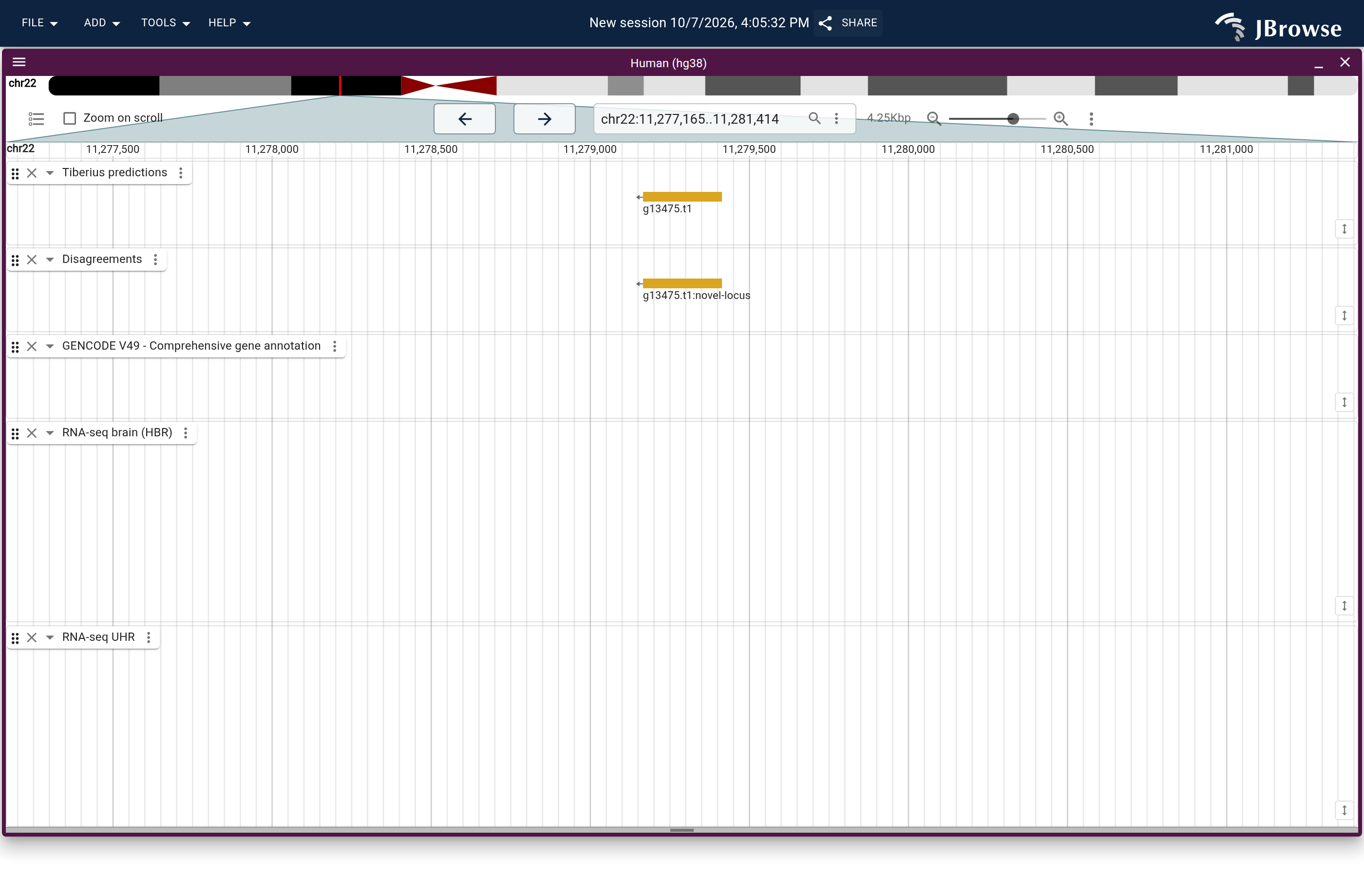 Genome view of g13475.t1