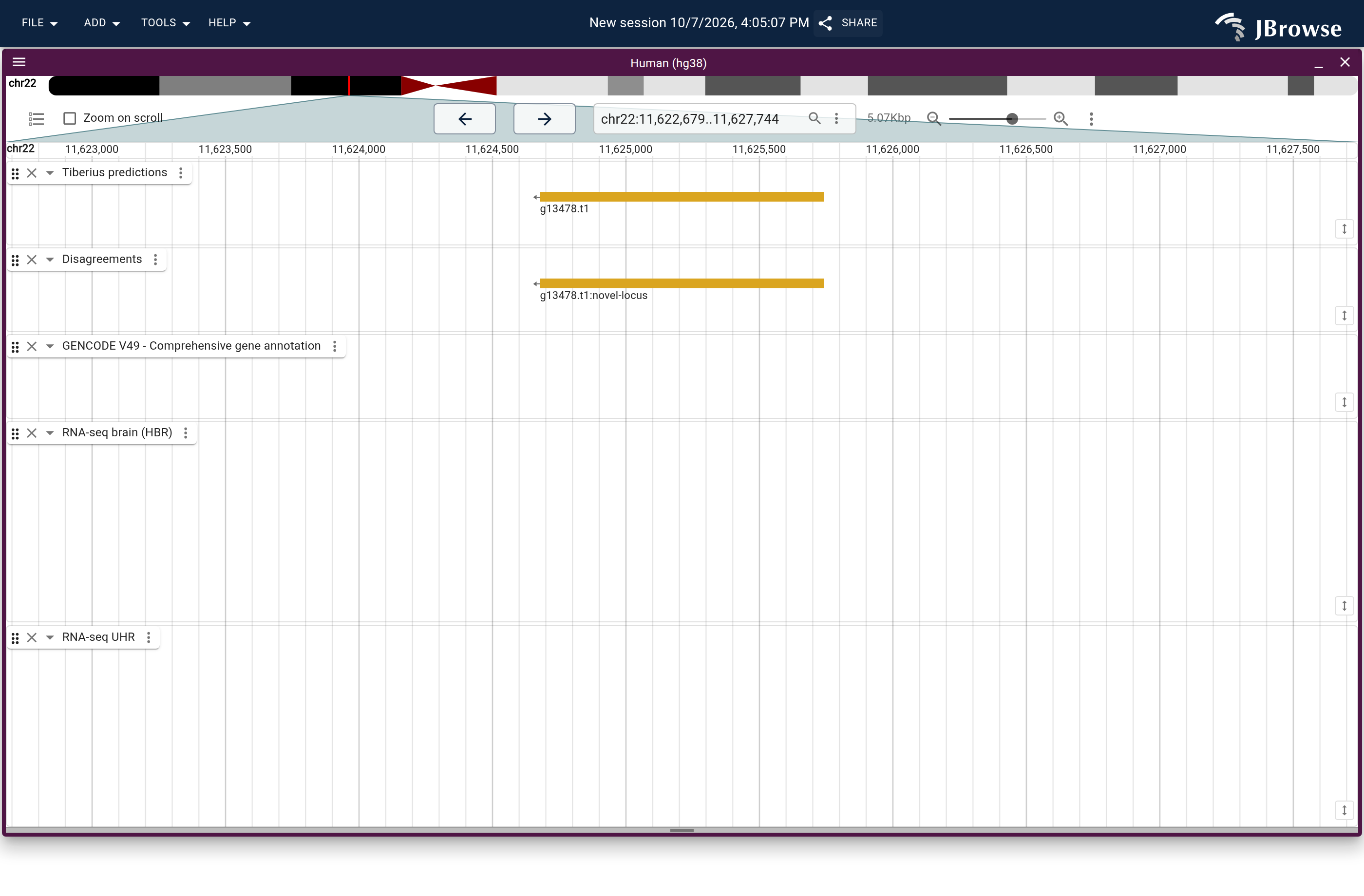 Genome view of g13478.t1