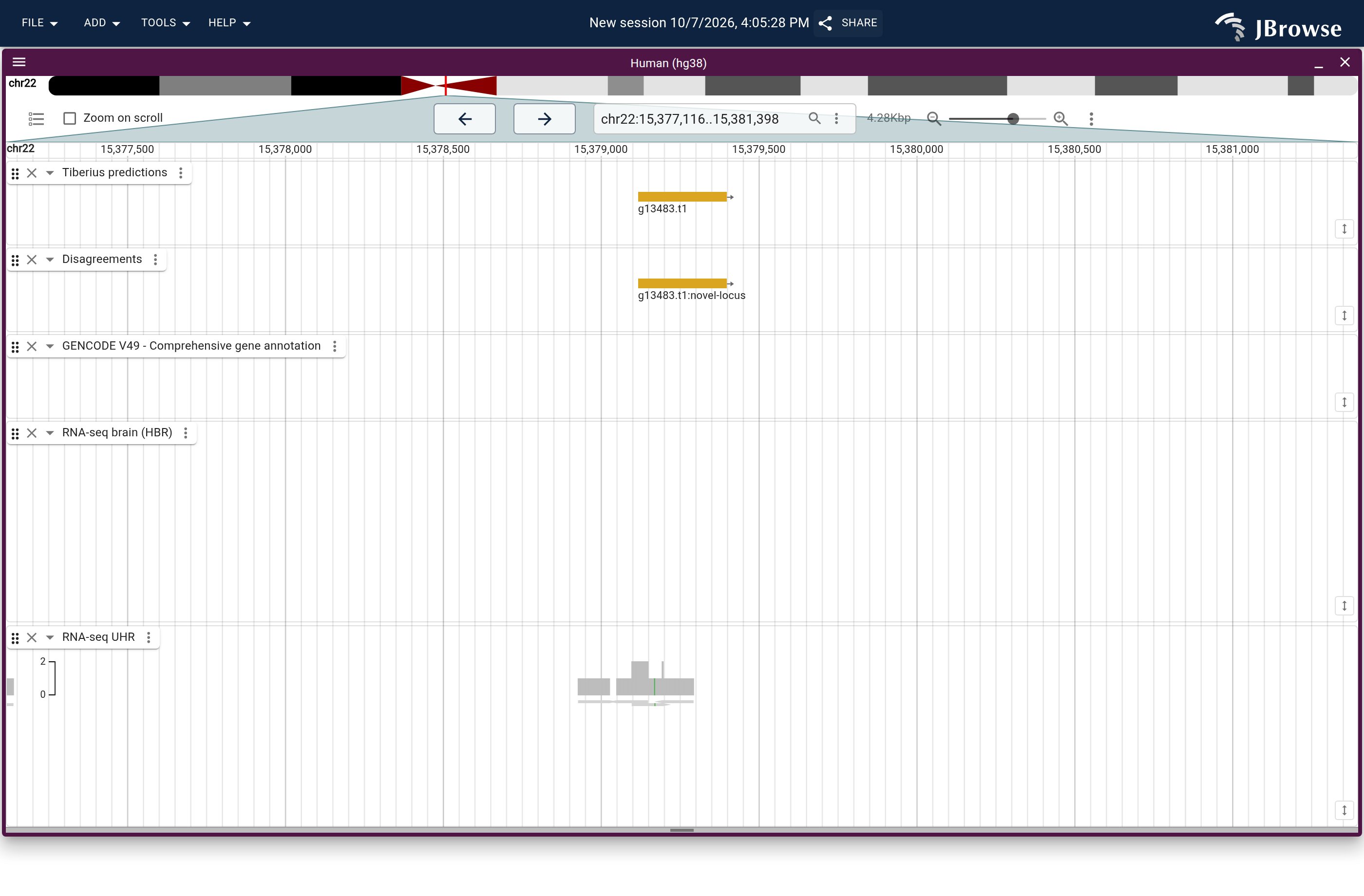 Genome view of g13483.t1