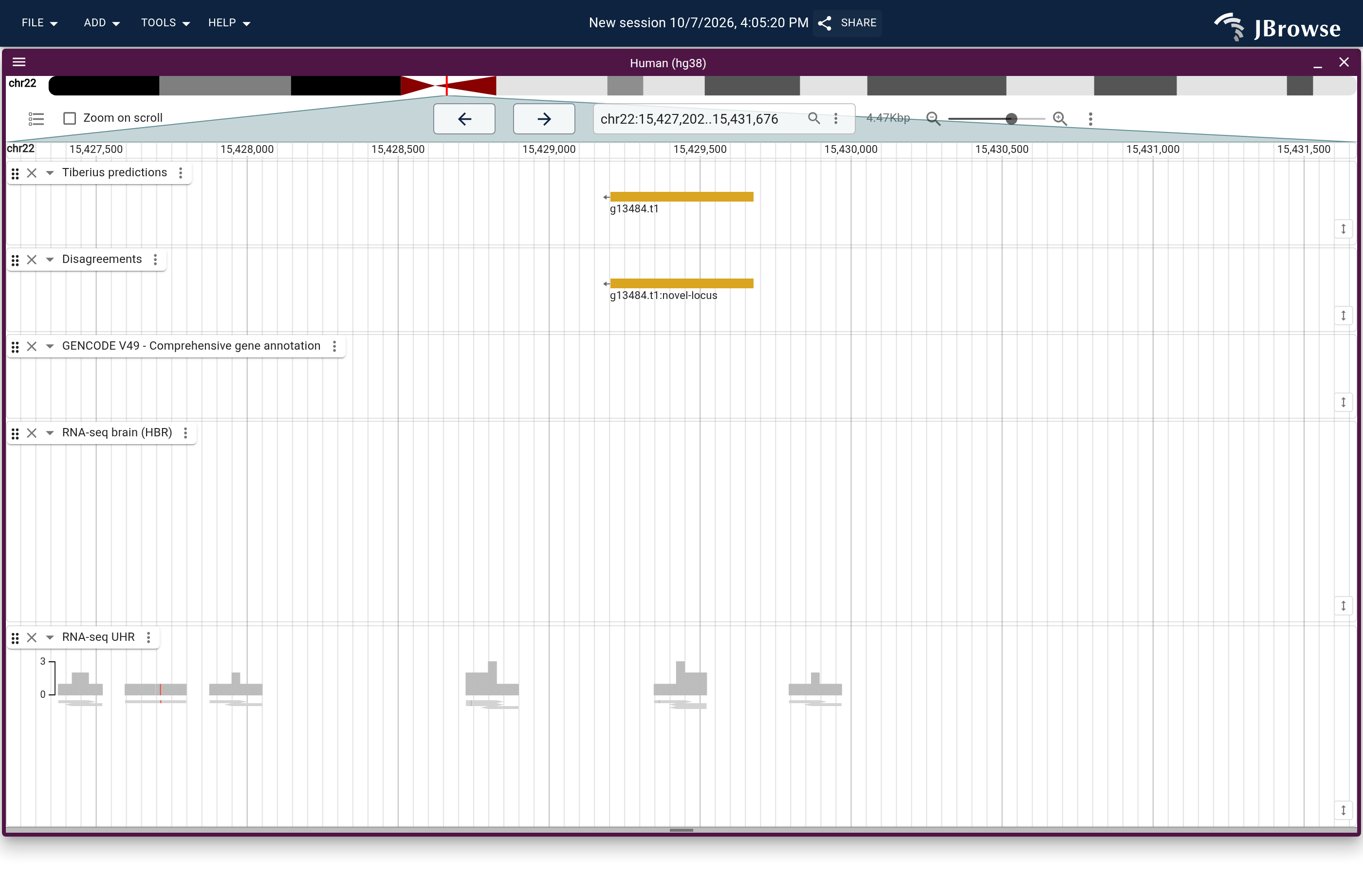 Genome view of g13484.t1