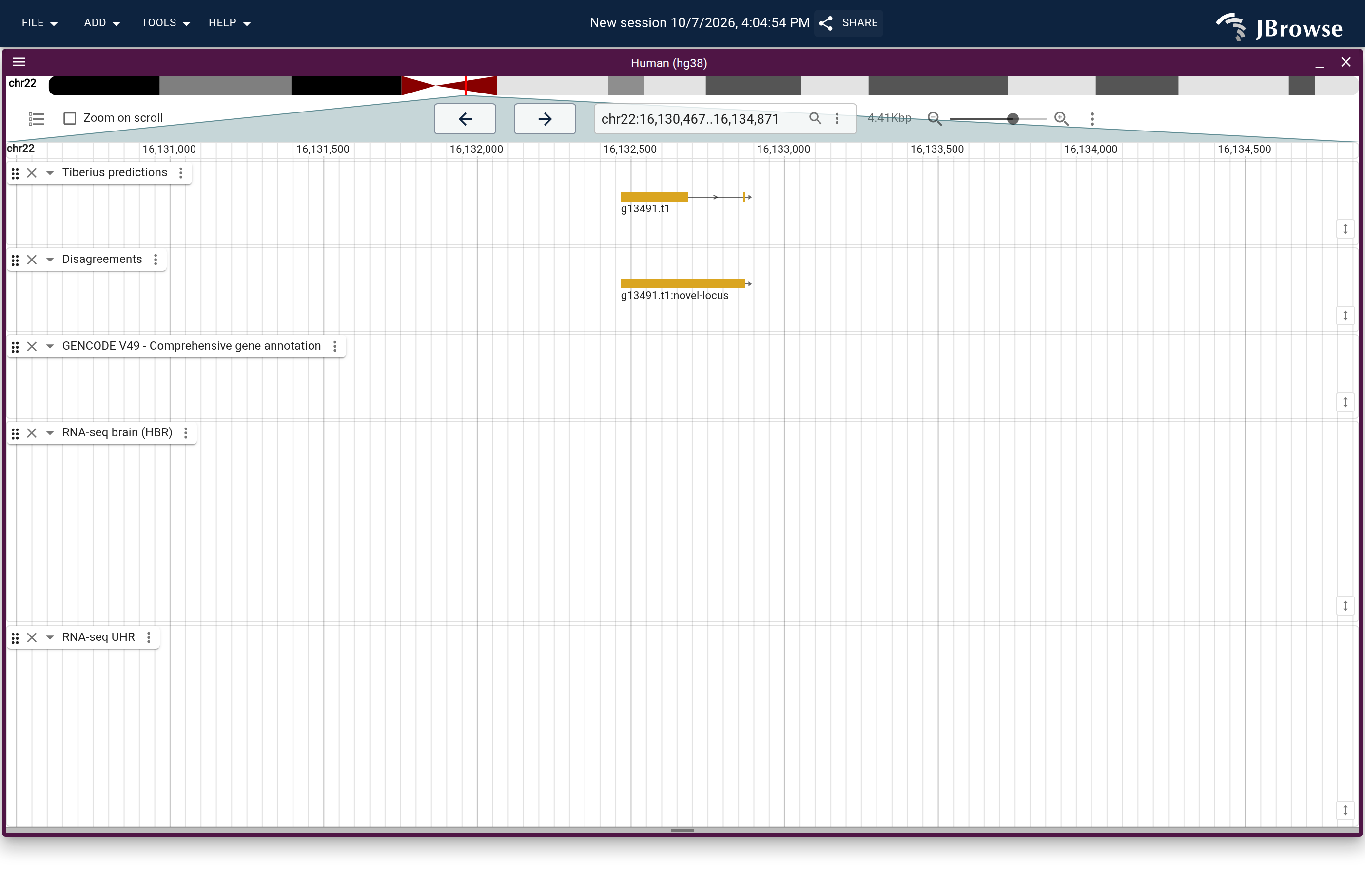 Genome view of g13491.t1