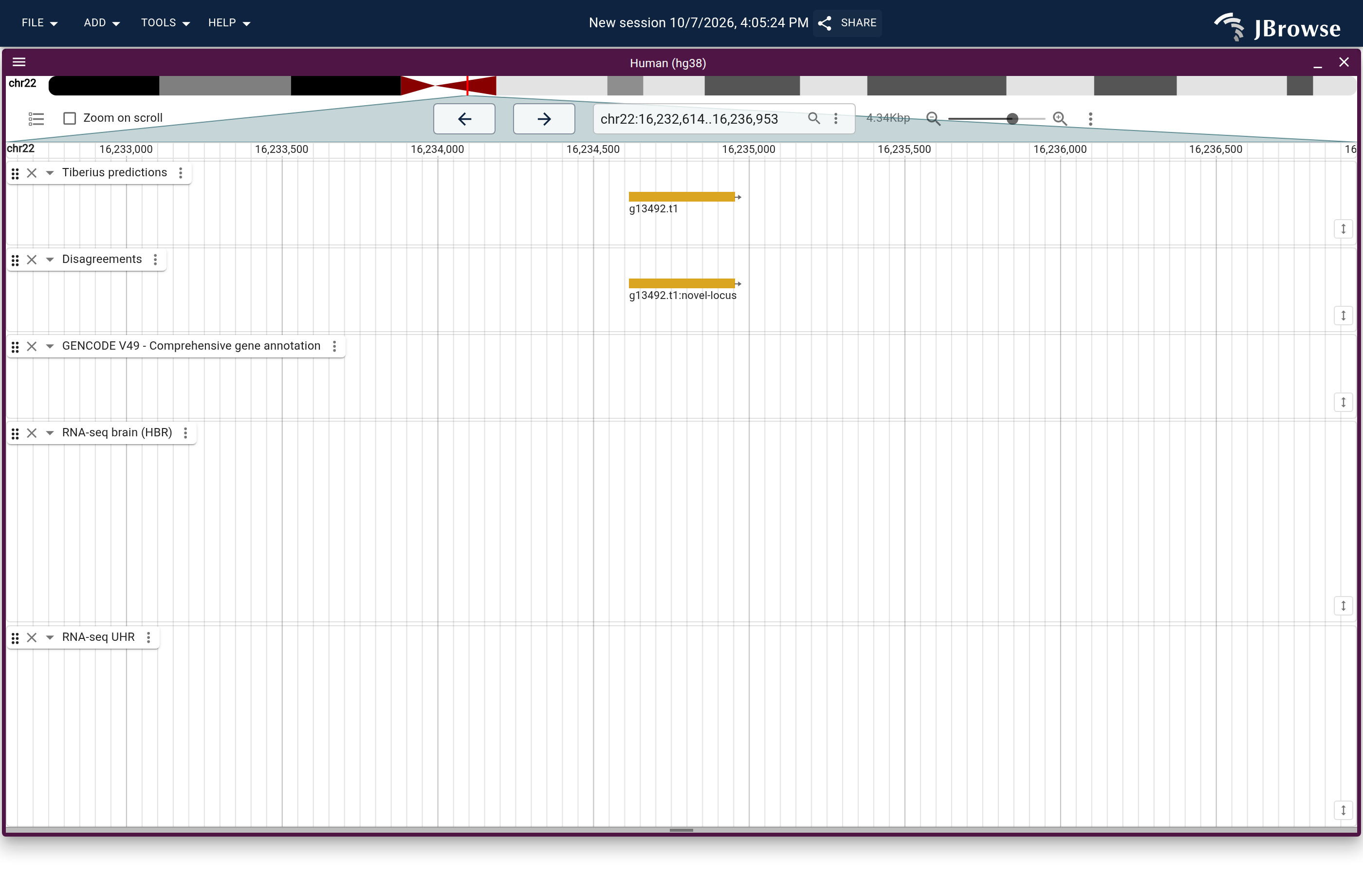 Genome view of g13492.t1