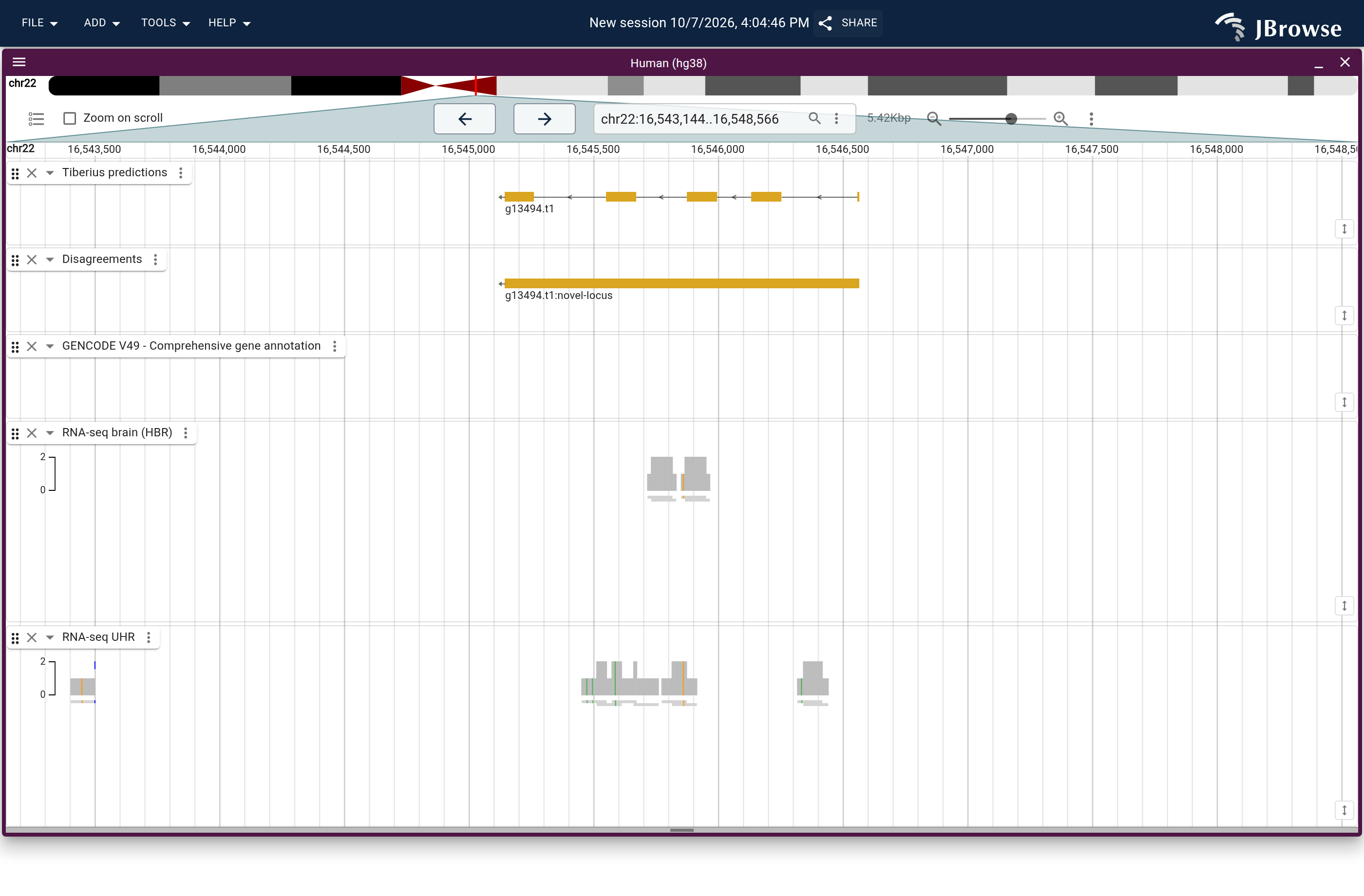 Genome view of g13494.t1