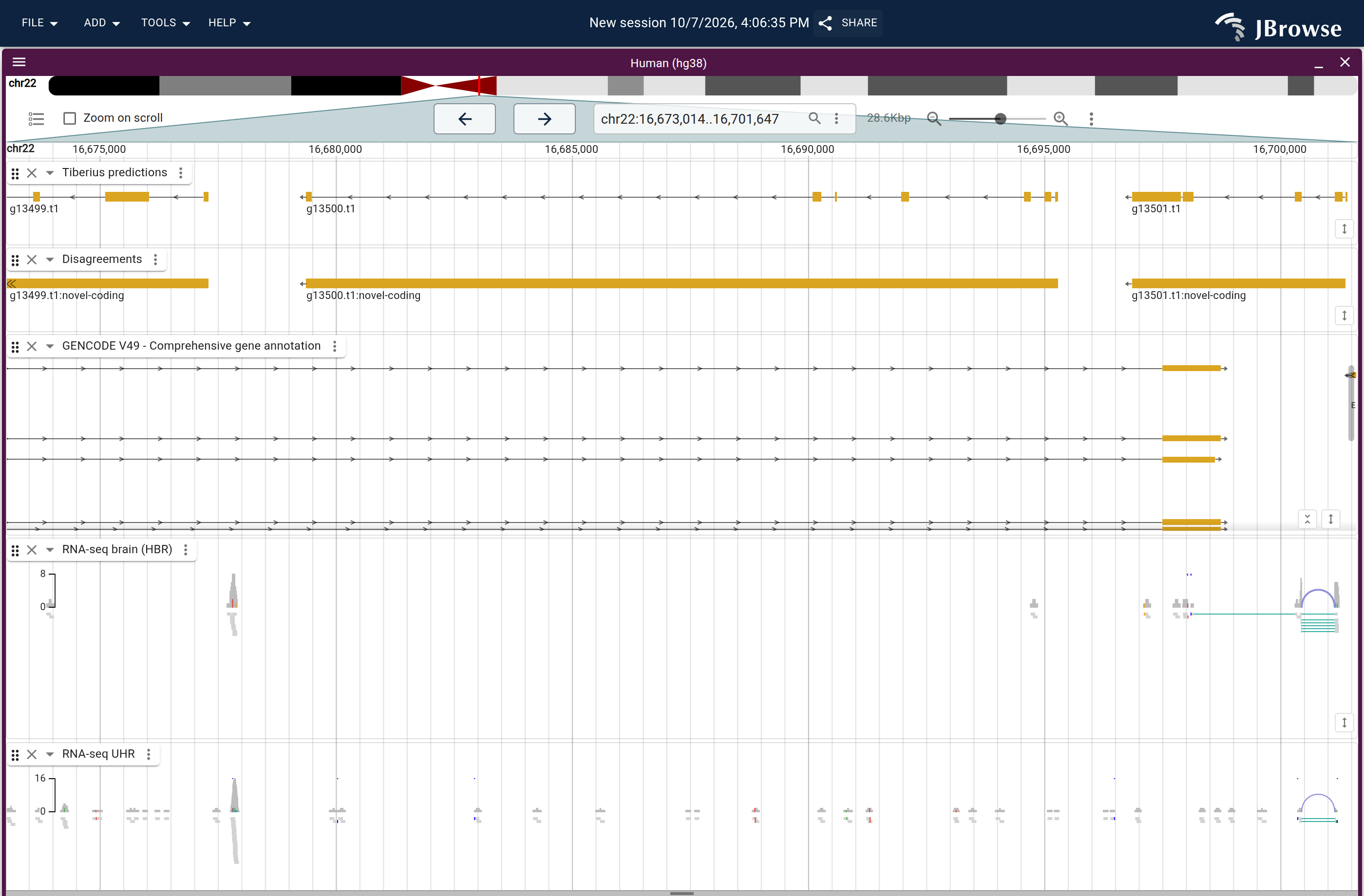 Genome view of g13500.t1
