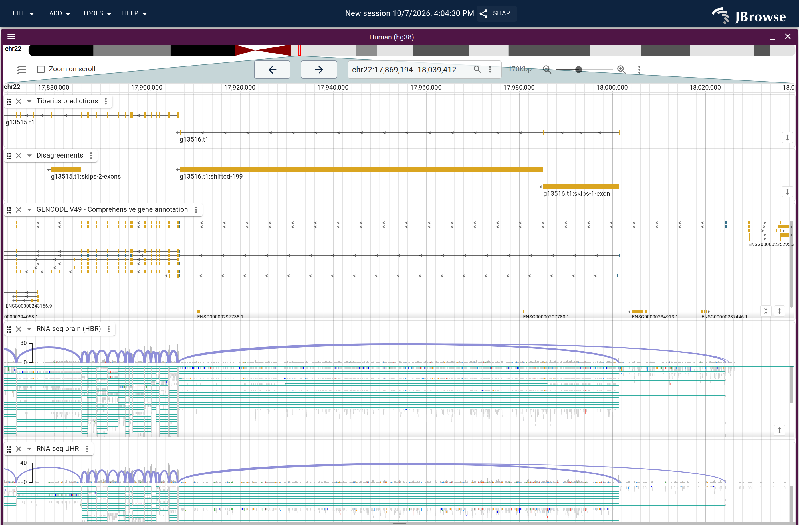 Genome view of g13516.t1