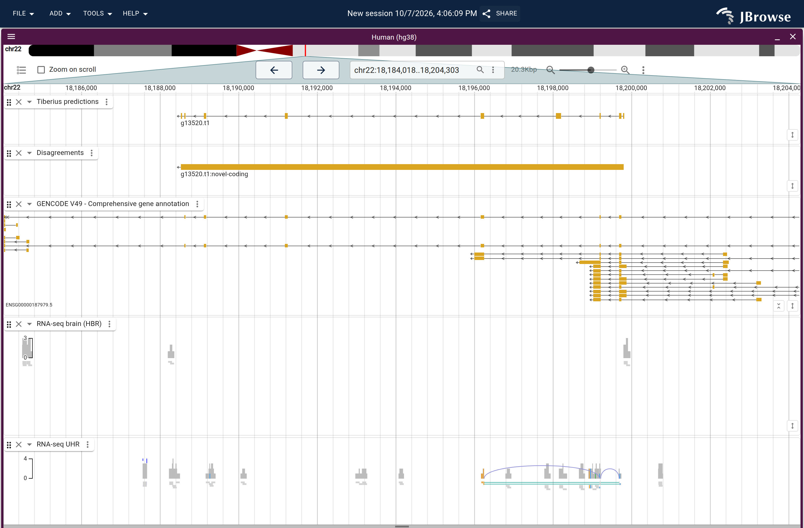 Genome view of g13520.t1