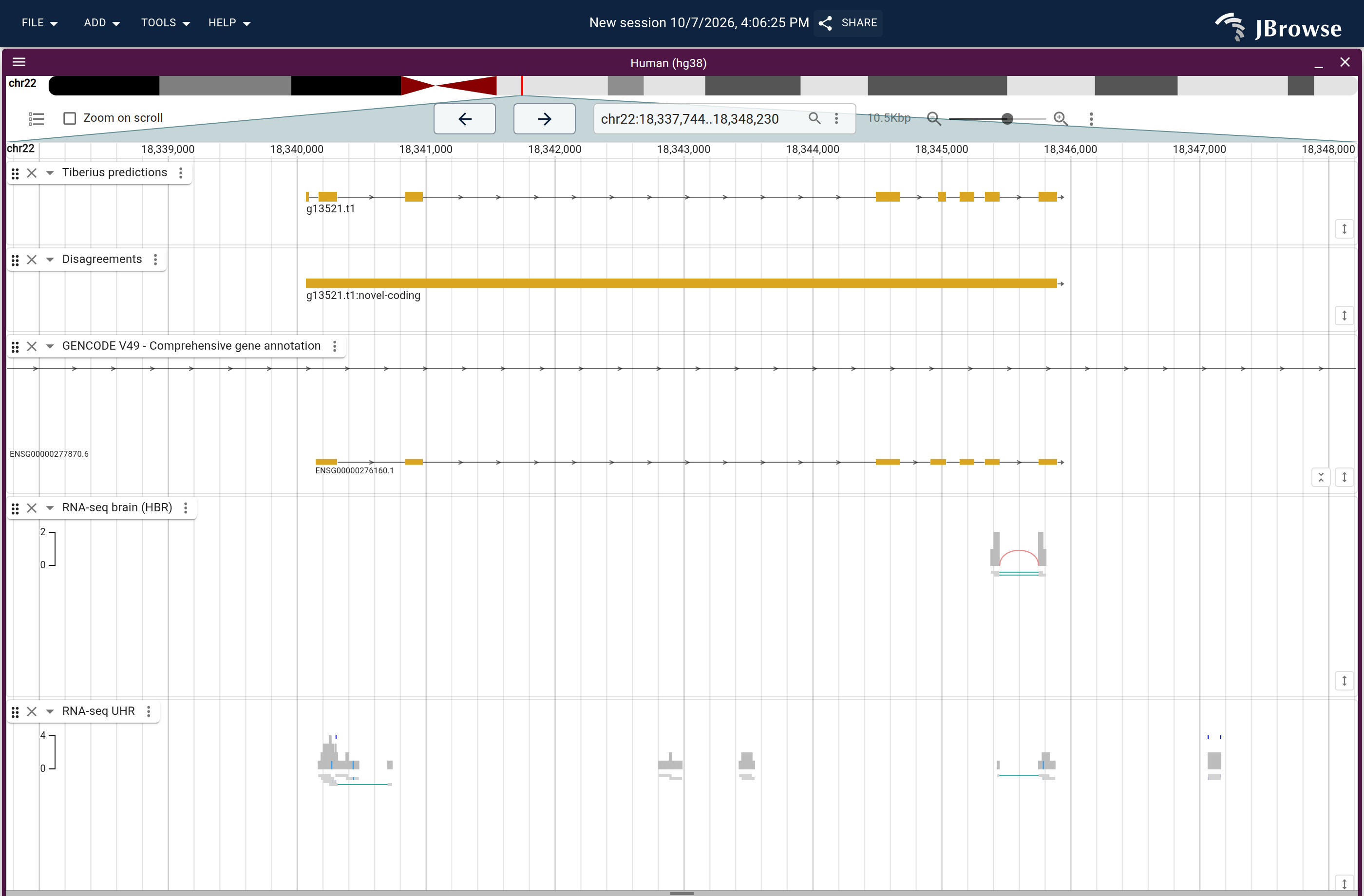 Genome view of g13521.t1