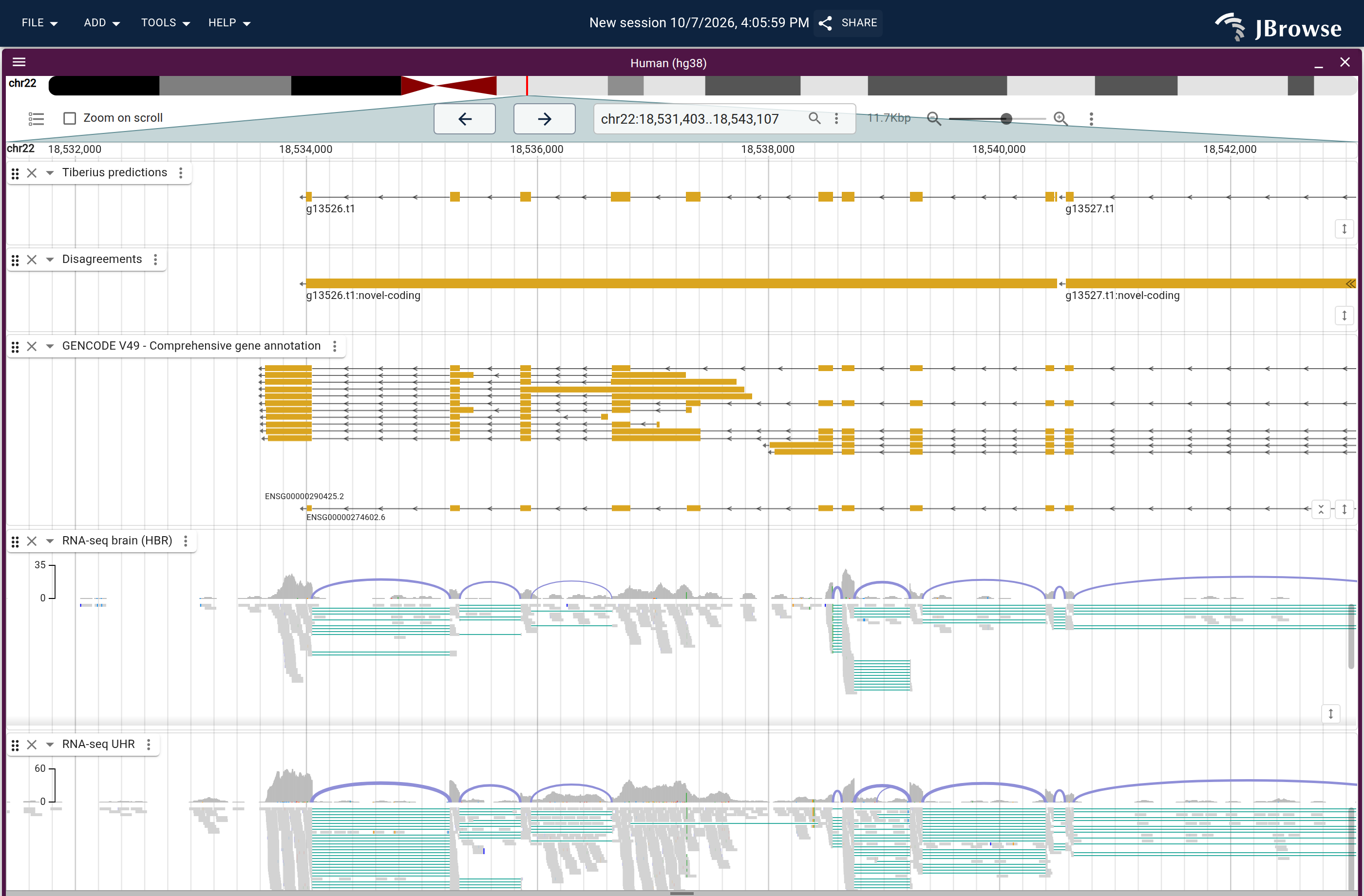 Genome view of g13526.t1