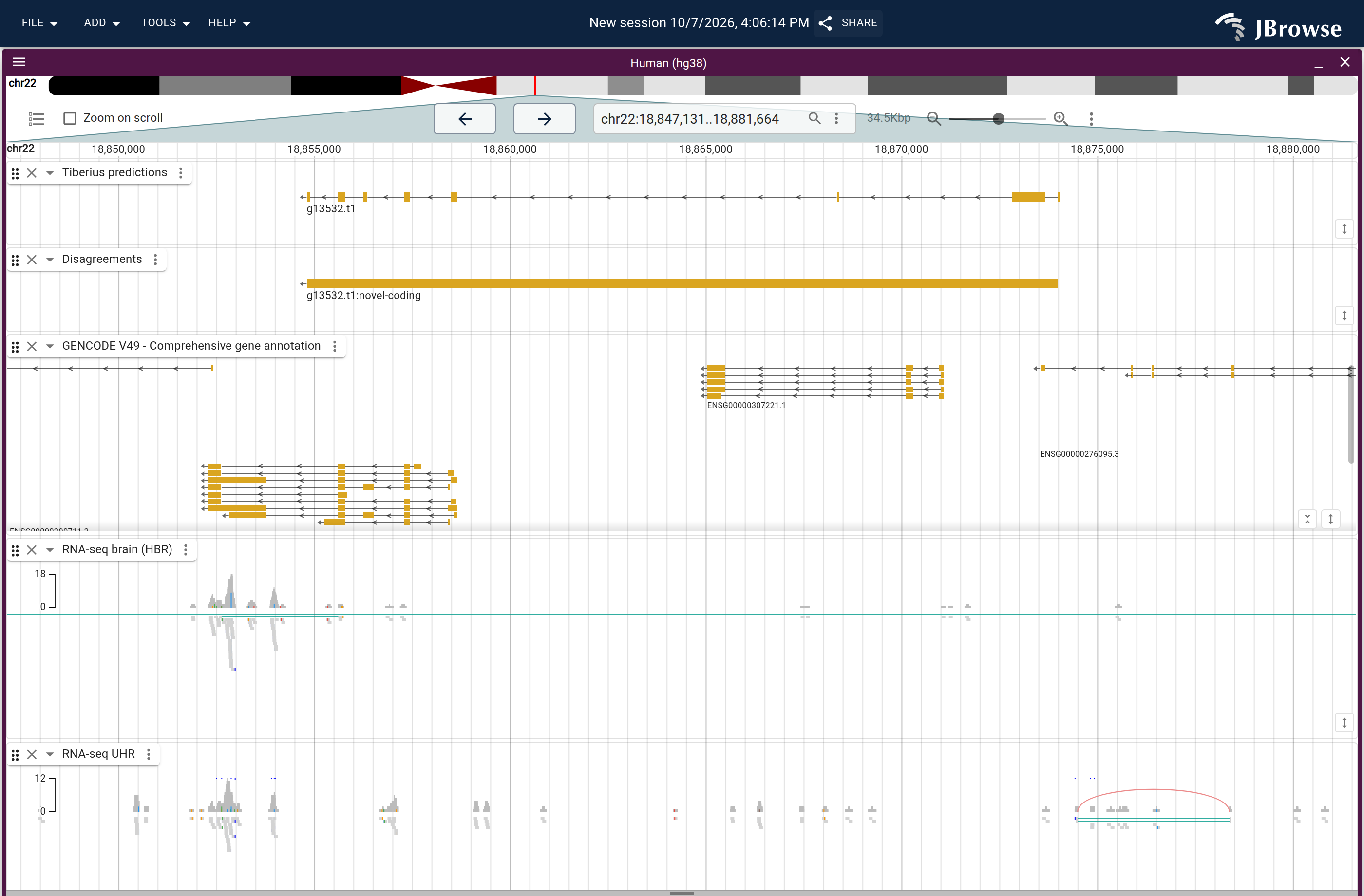 Genome view of g13532.t1