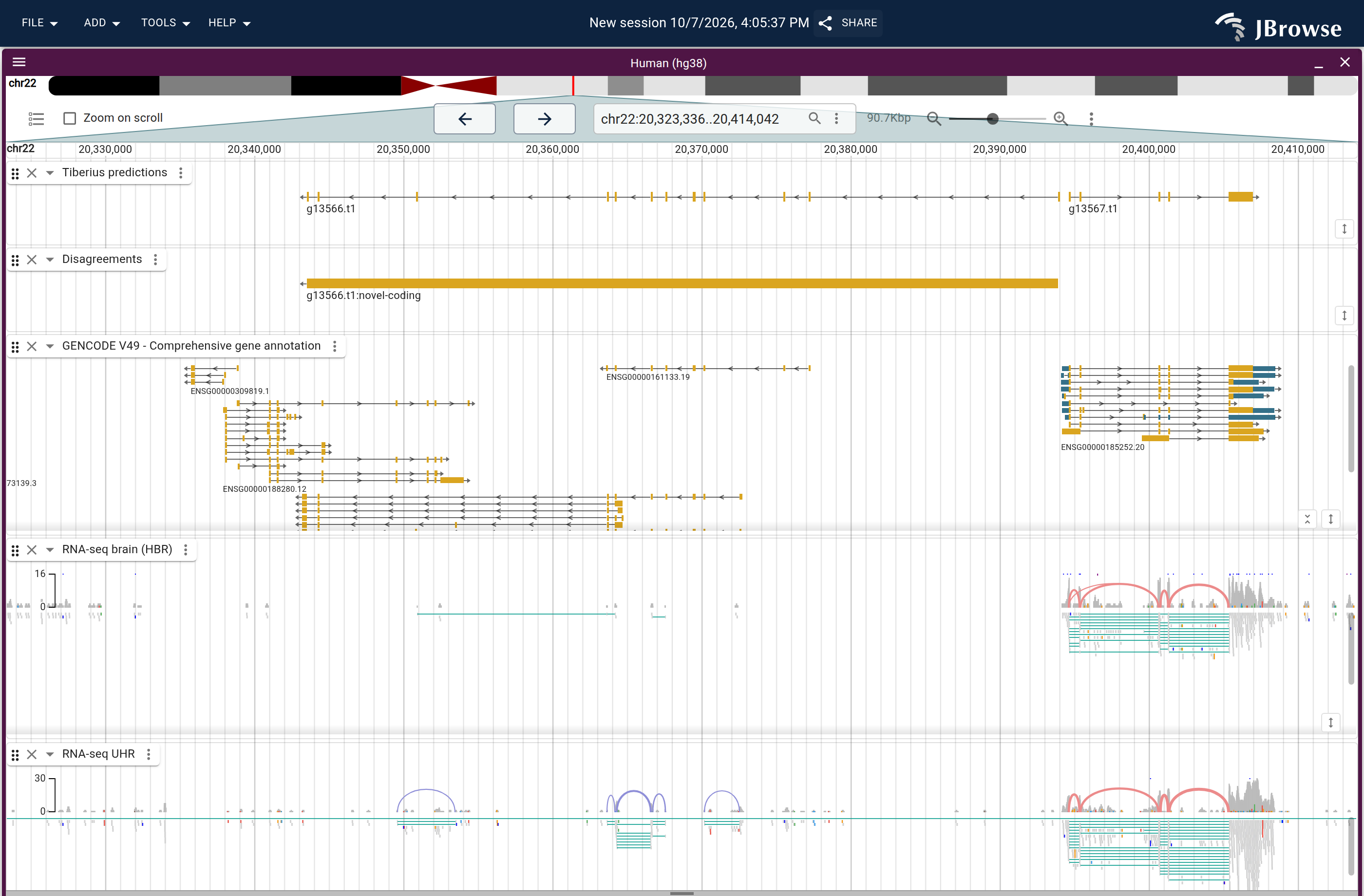 Genome view of g13566.t1