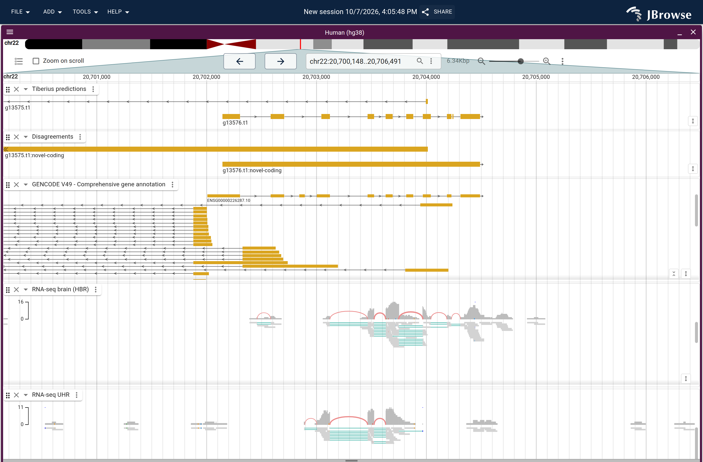 Genome view of g13576.t1
