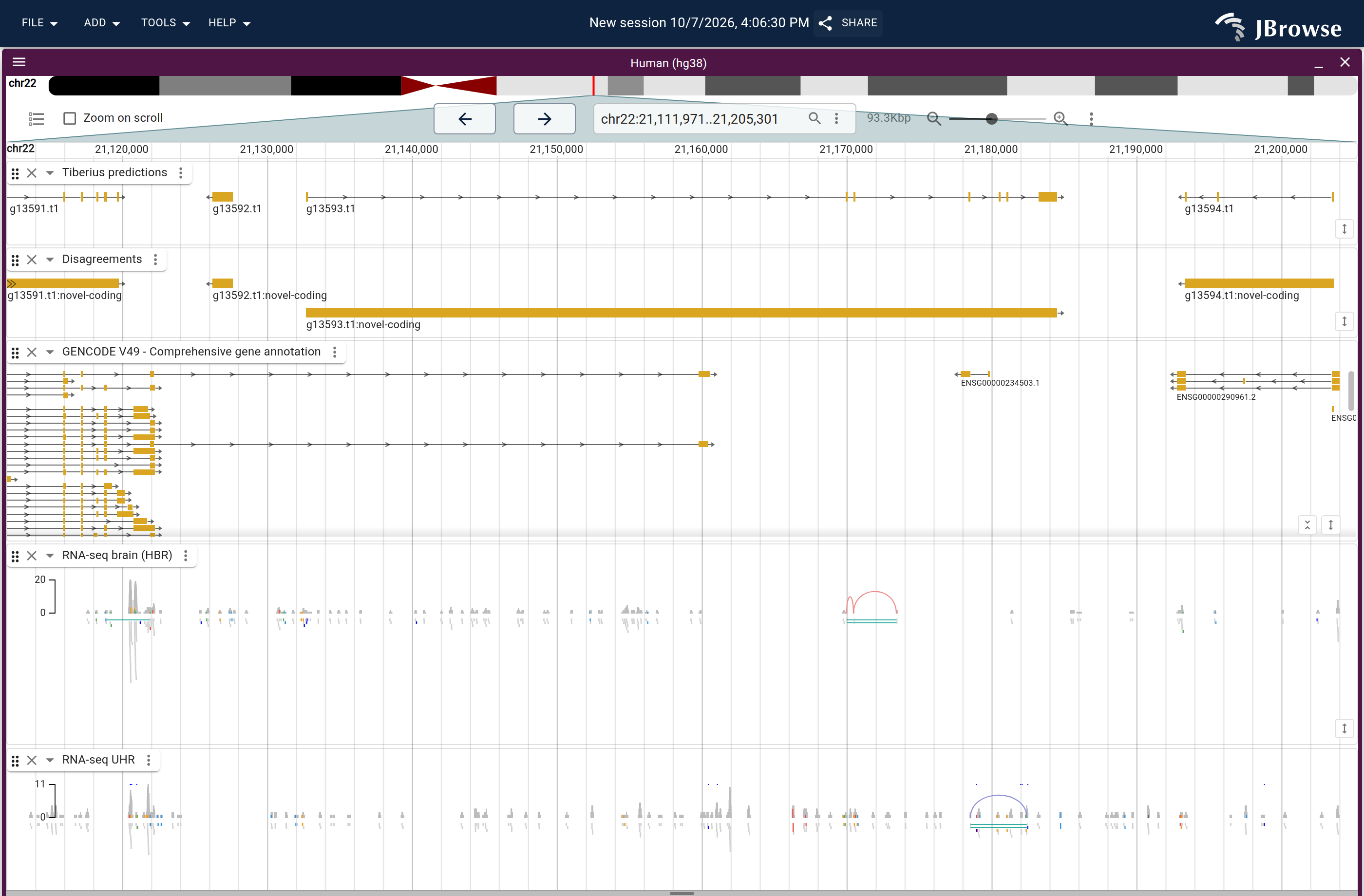 Genome view of g13593.t1