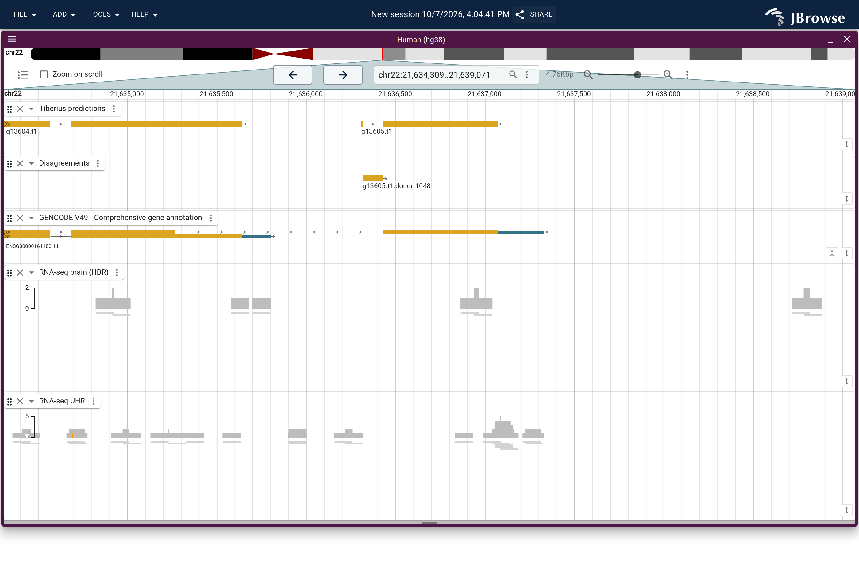 Genome view of g13605.t1