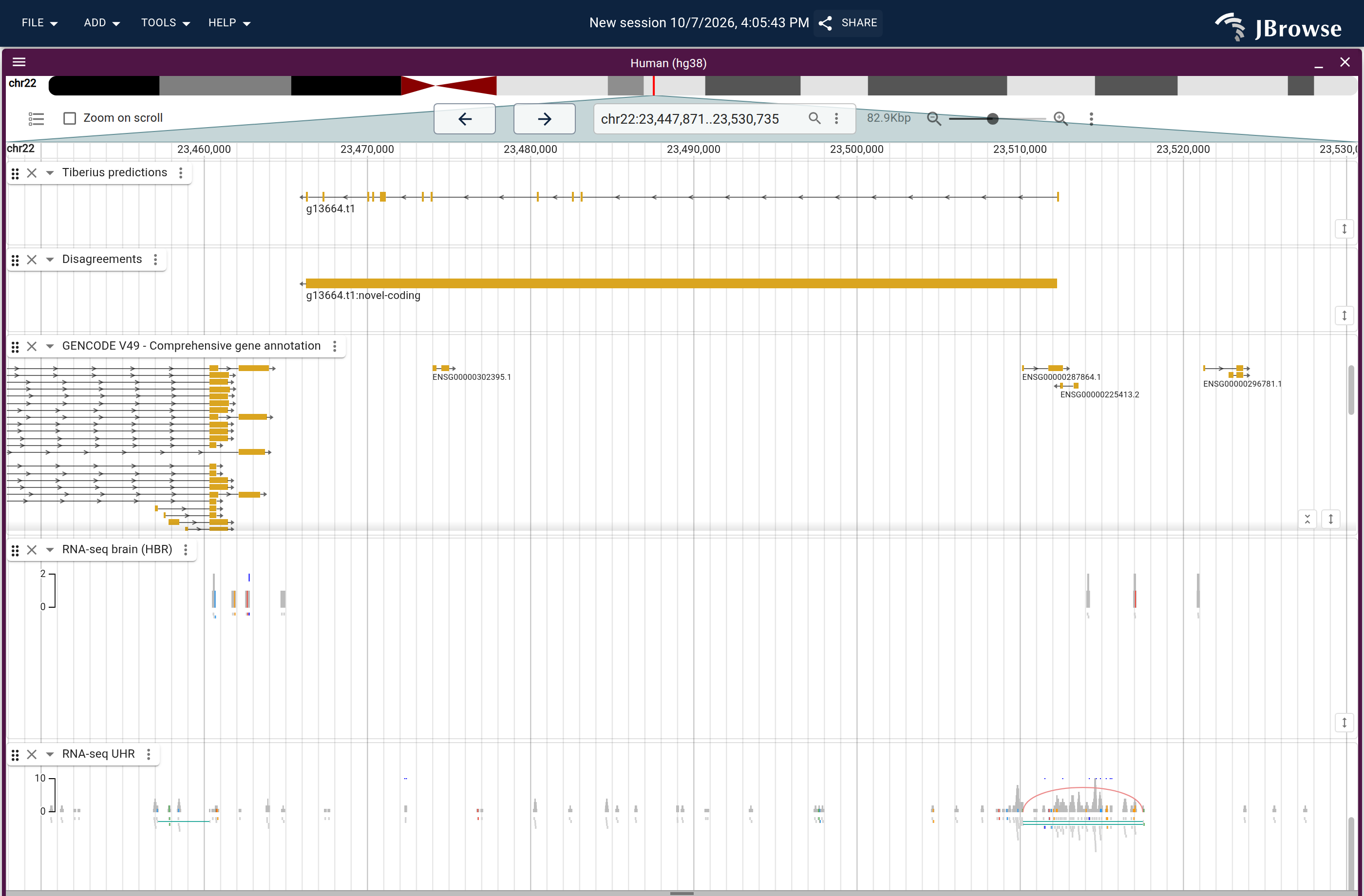 Genome view of g13664.t1