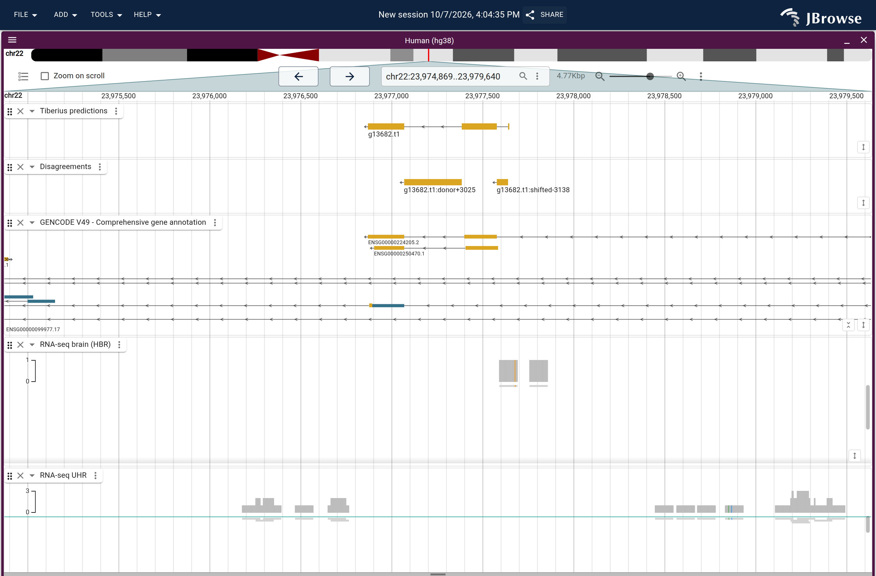 Genome view of g13682.t1