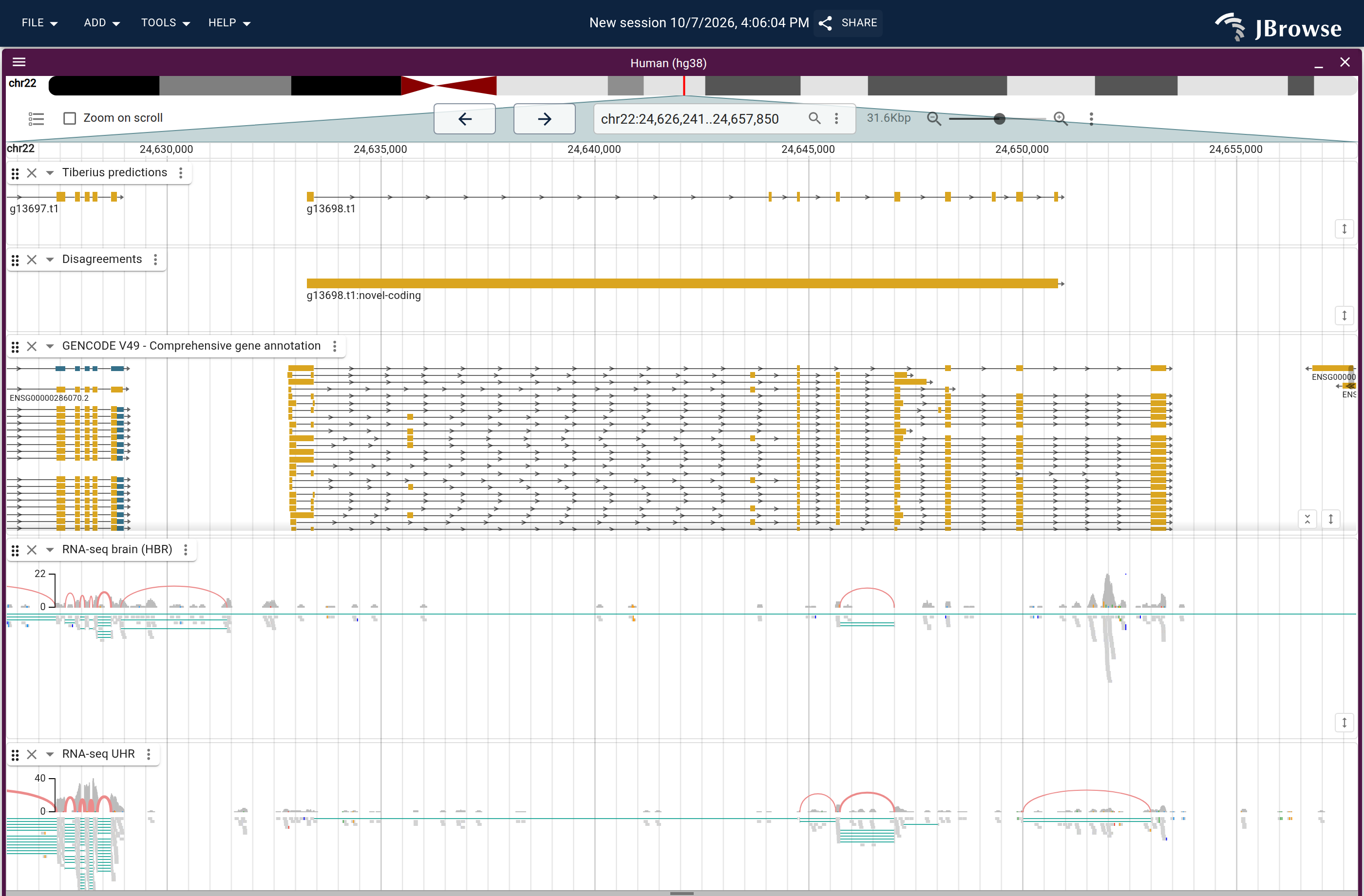 Genome view of g13698.t1