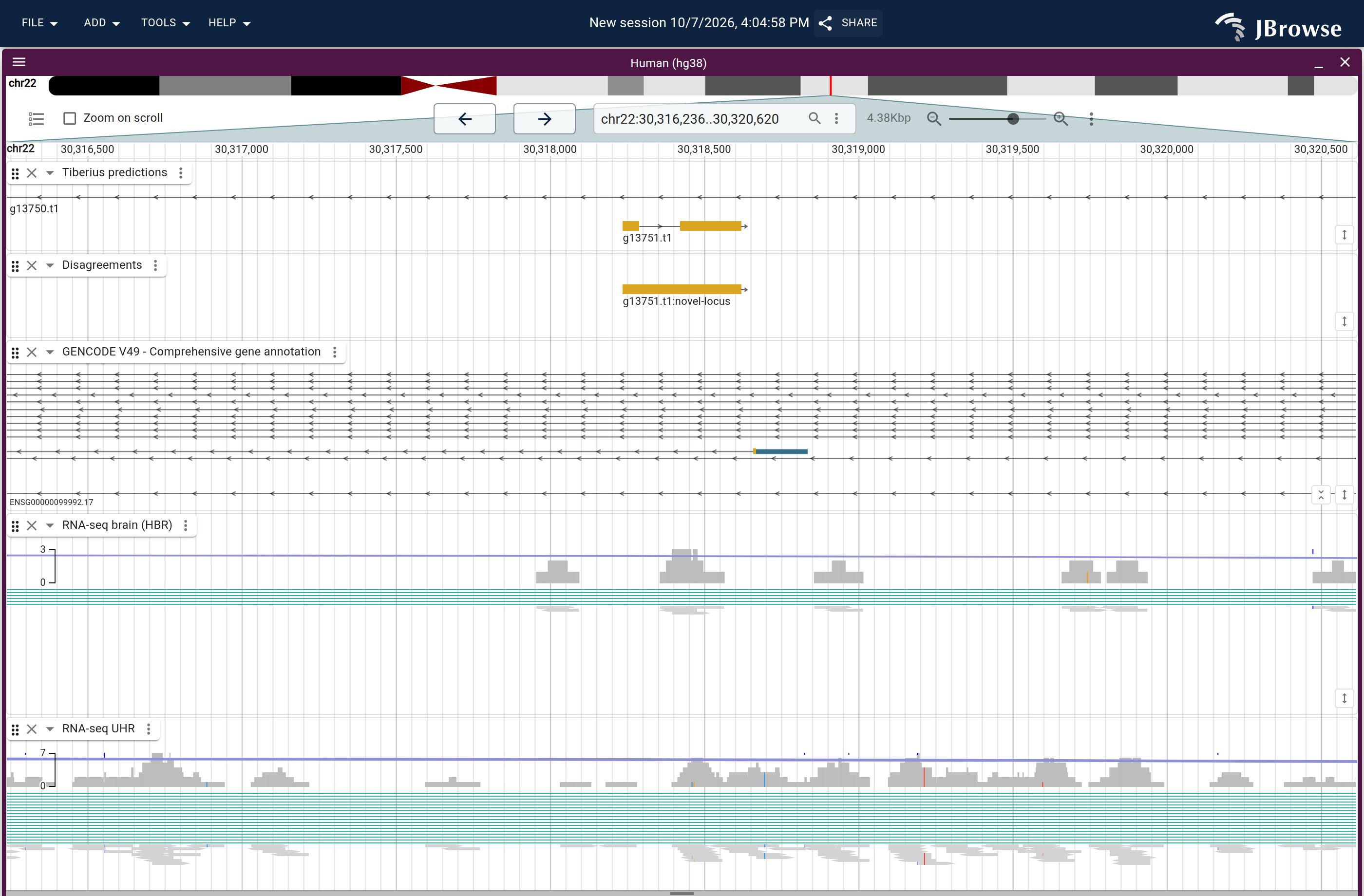 Genome view of g13751.t1