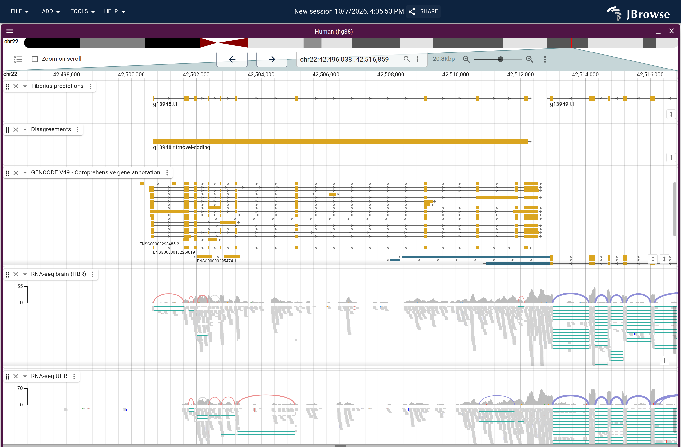 Genome view of g13948.t1