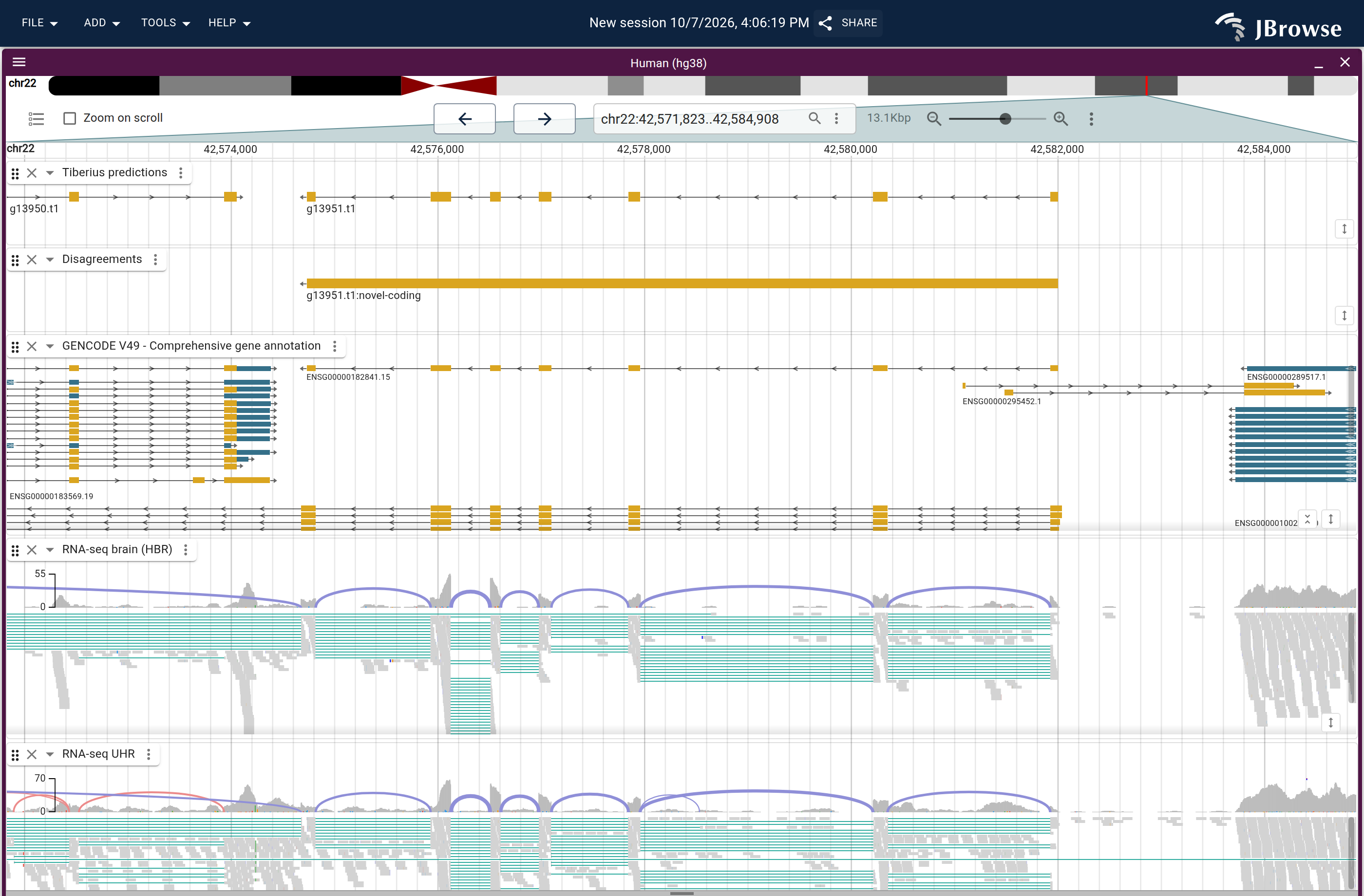 Genome view of g13951.t1