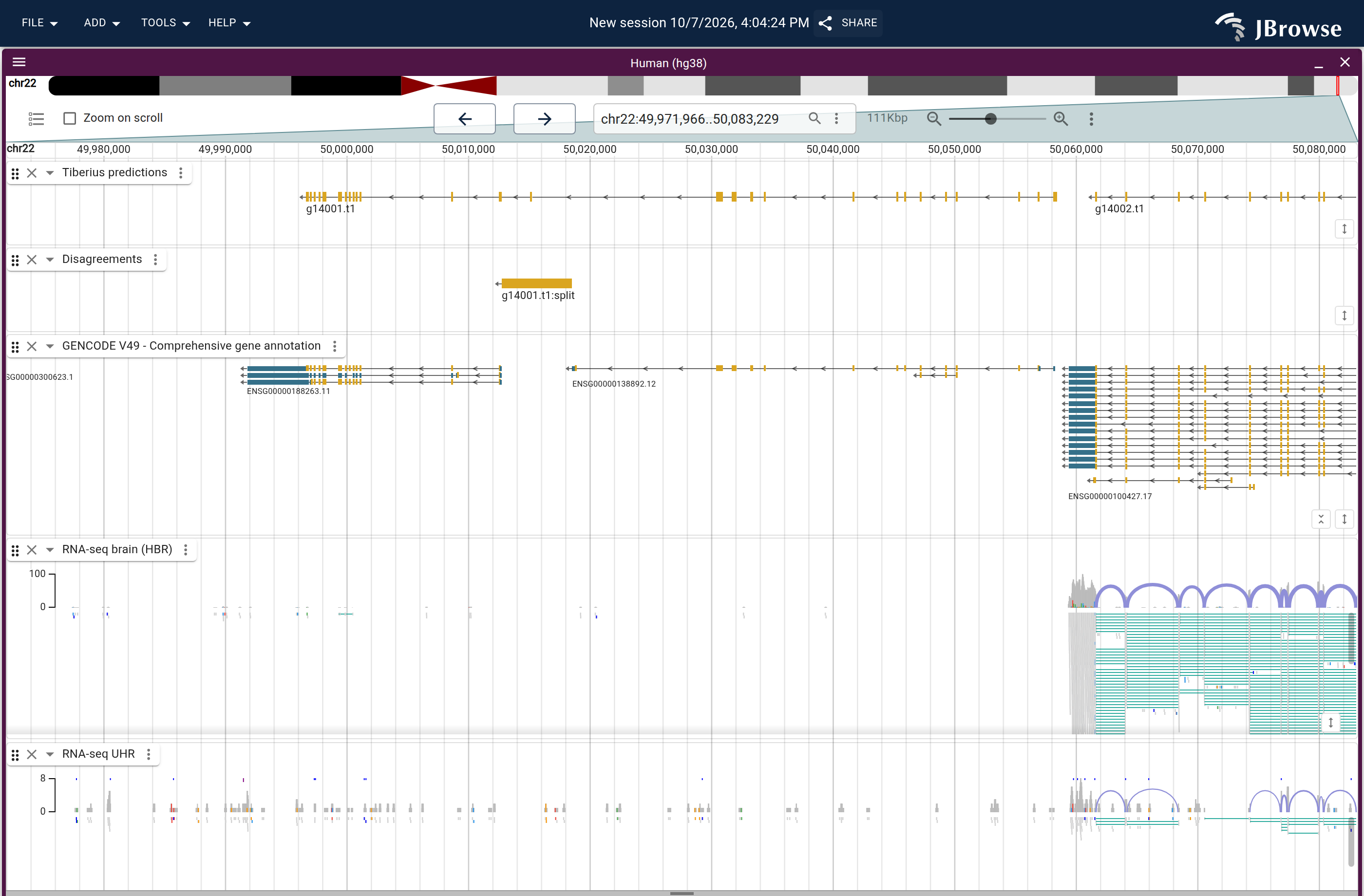 Genome view of g14001.t1