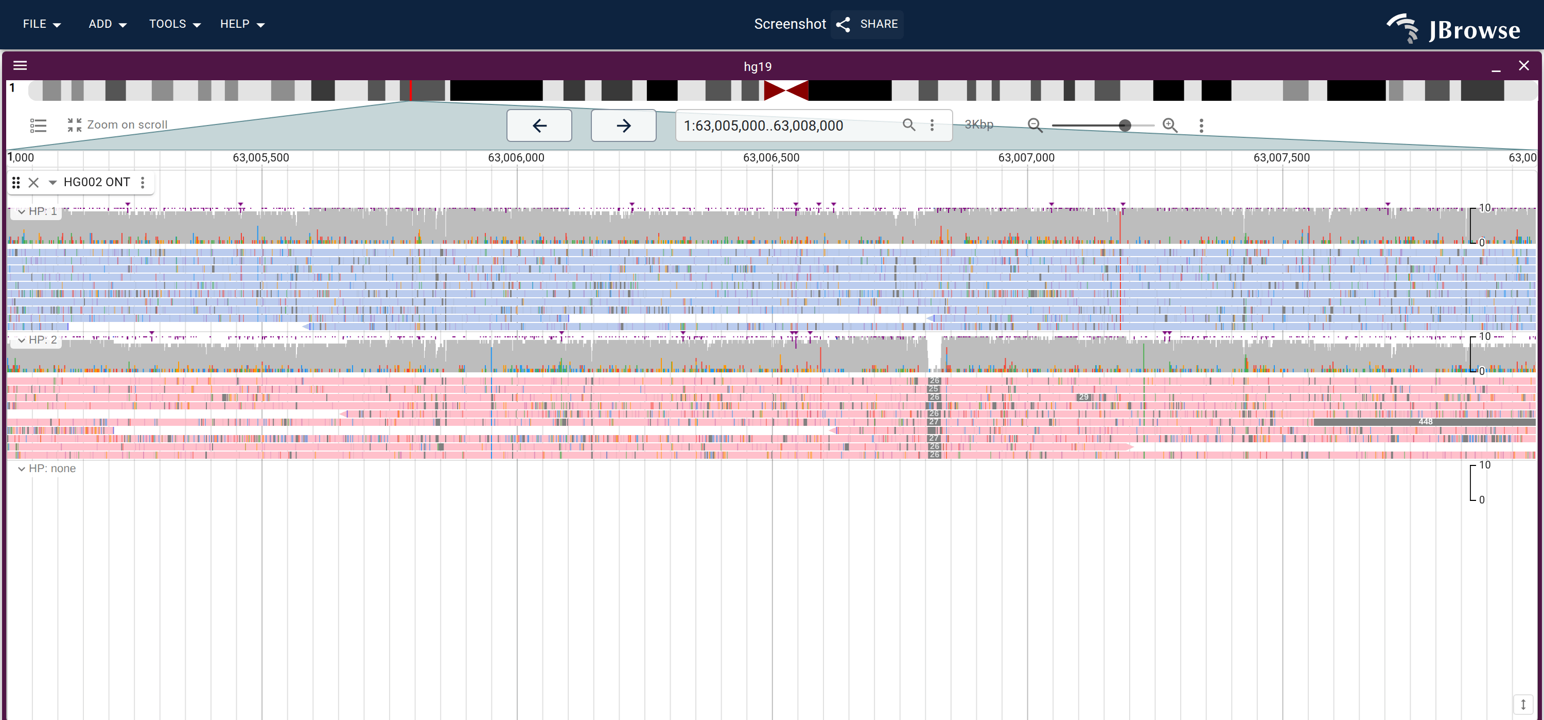 HG002 ONT reads grouped and colored by the HP tag. The pileup splits into one tinted section per haplotype, so phased reads and their haplotype-correlated SNPs read at a glance.