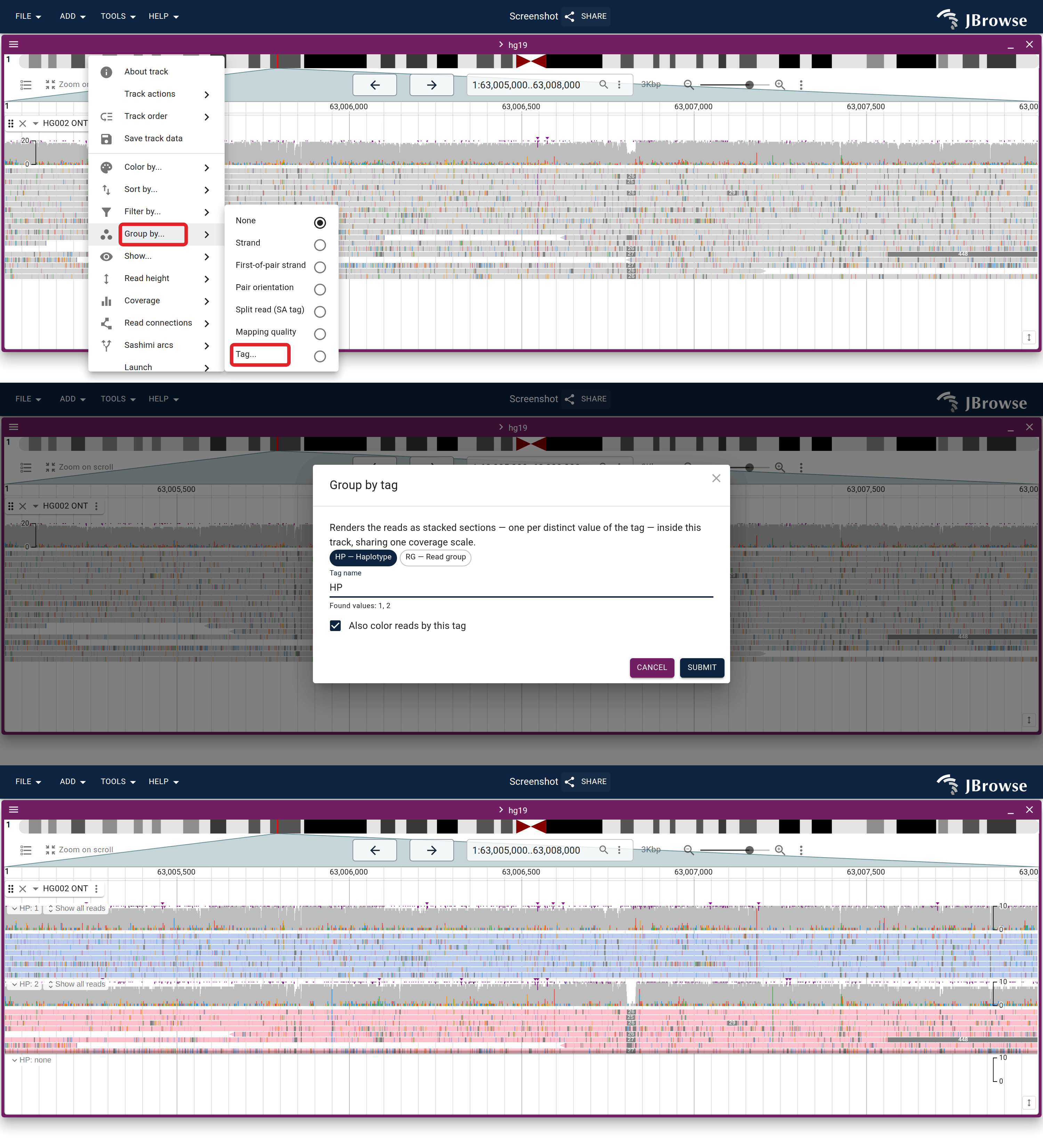 Group by... opens a dialog where you pick the dimension (here the HP haplotype tag) and can color by the same tag.