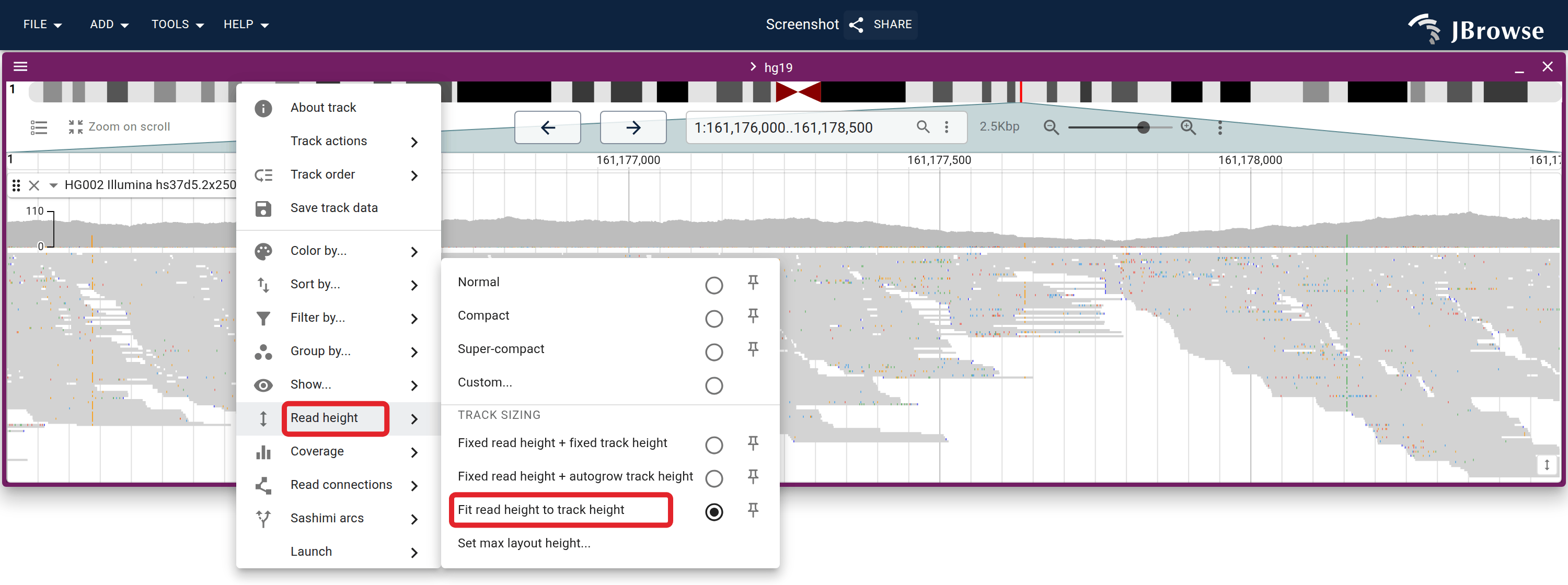 The Track sizing options inside the Read height submenu, with Fit read height to track height selected. Because the size is computed while fitting, none of the presets above it read as selected.