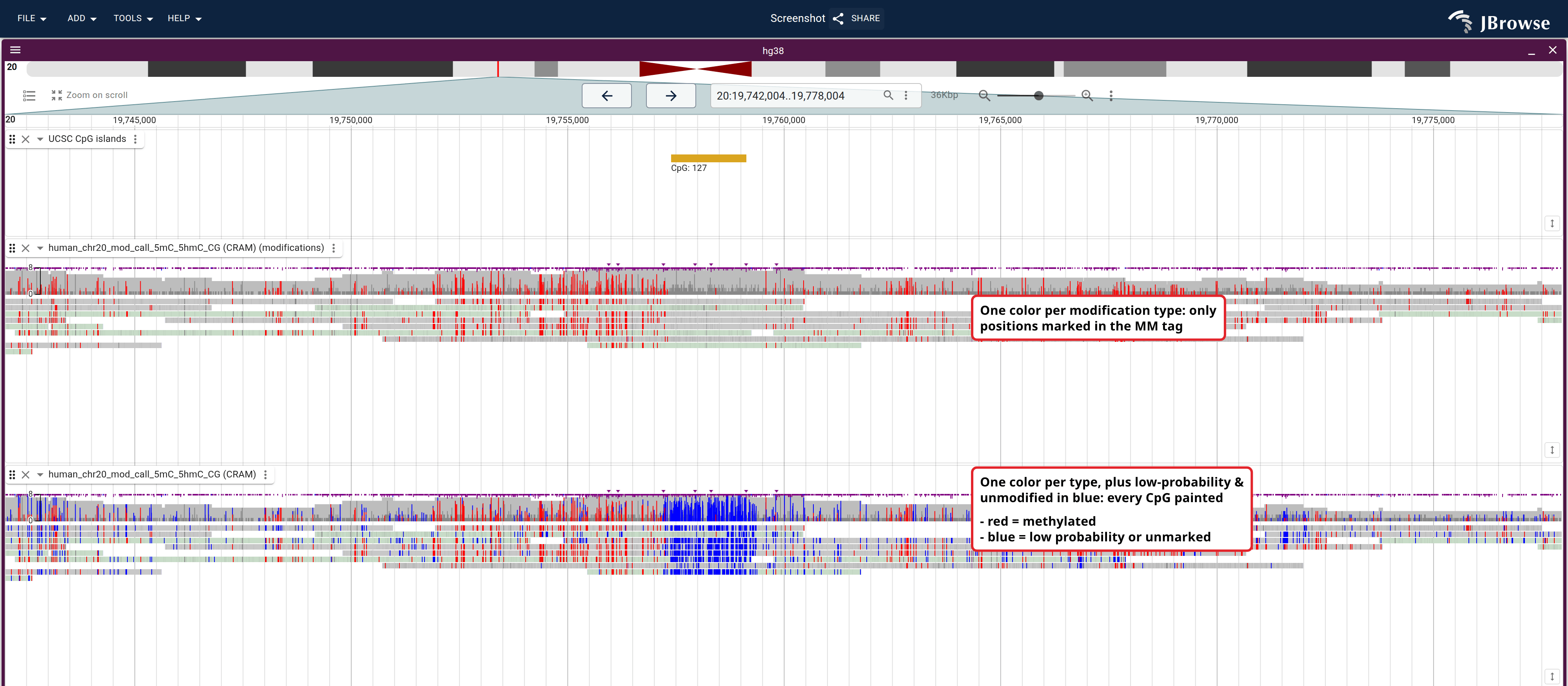 COLO829 tumor nanopore reads over a hypomethylated CpG island on chr20, colored by type (top) and 2-color (bottom): by-type leaves the island near-empty, 2-color fills it solid blue.