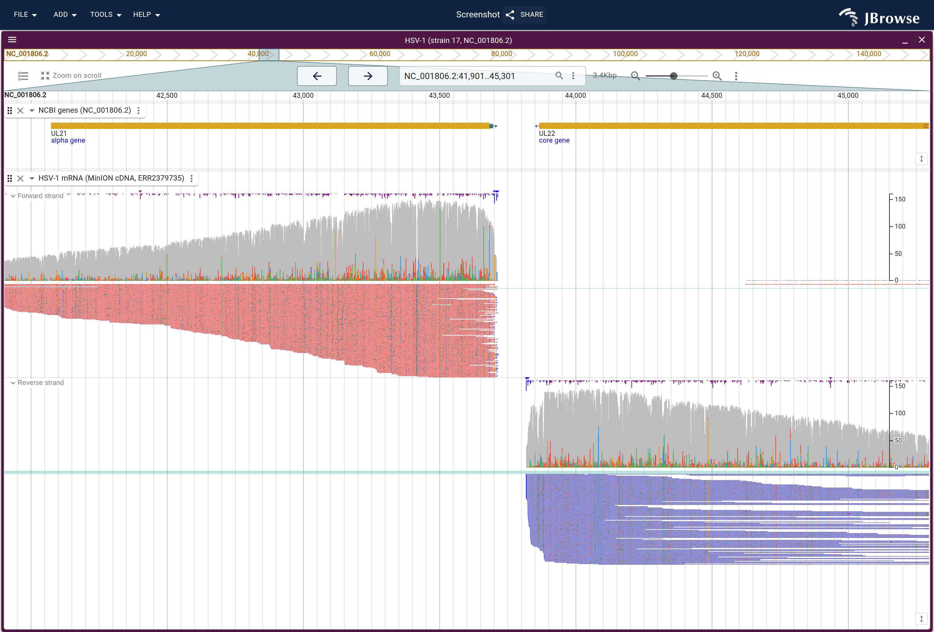 HSV-1 mRNA (MinION cDNA) over two neighbouring genes of the viral genome, grouped by strand and colored by it. UL21 and UL22 are transcribed in opposite directions, so each band carries the coverage over its own gene and the switch falls between them.