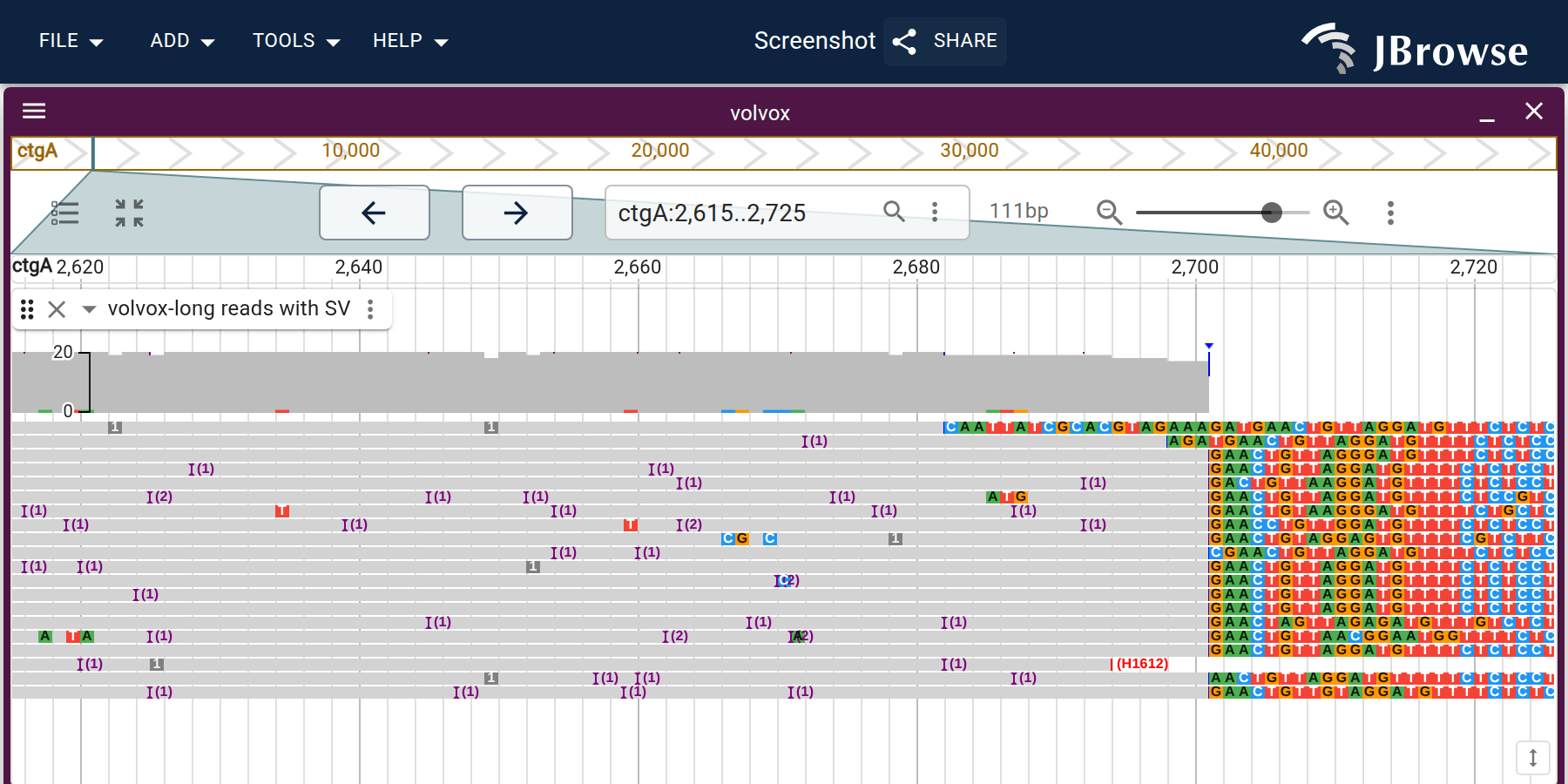 Soft-clipped reads at a breakpoint edge (right side, ~position 2,700). The dense cluster of colored bases marks where many reads terminate at a common breakpoint.