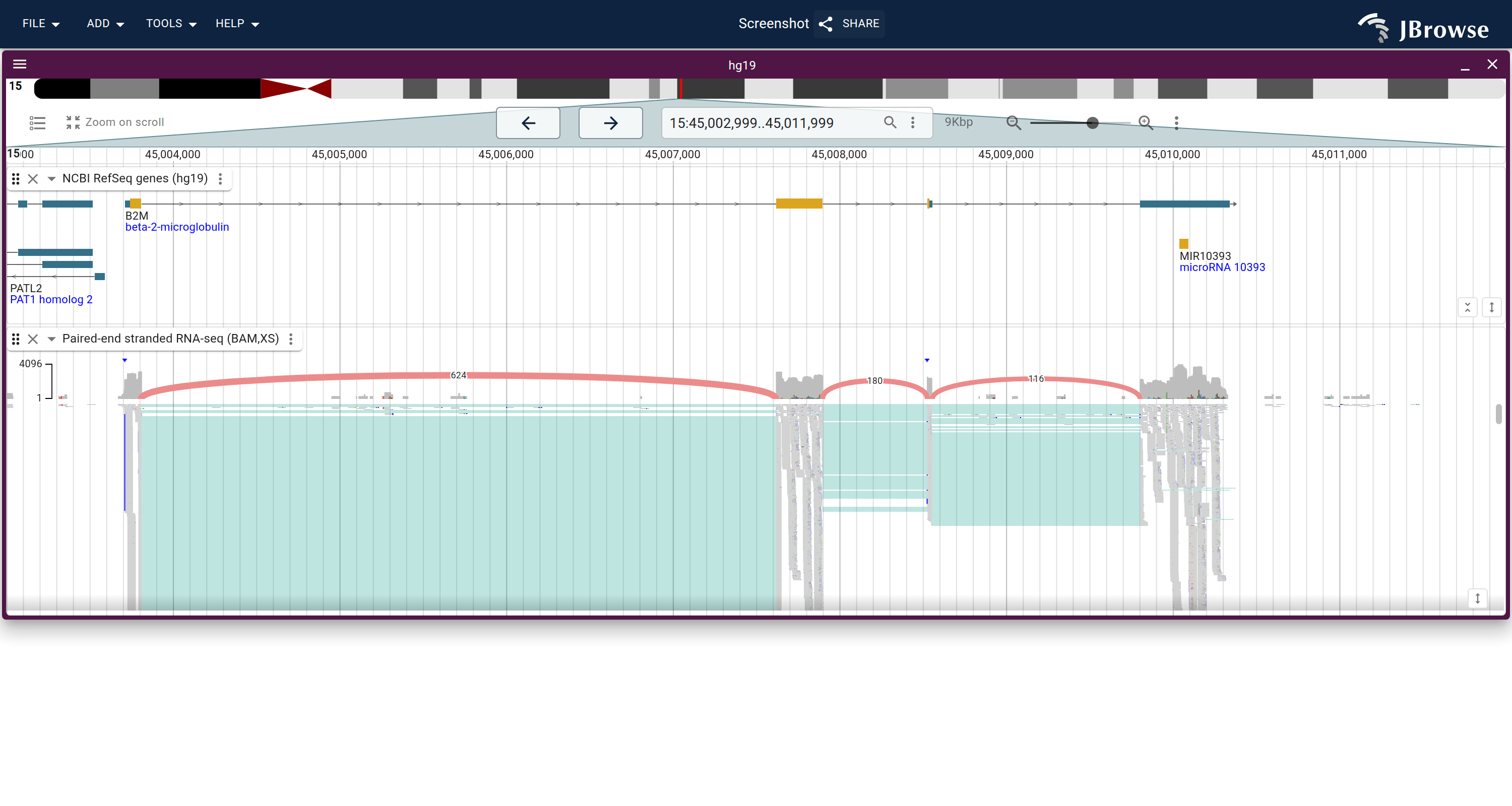 Sashimi arcs over B2M RNA-seq alignments with per-junction read-support labels enabled and the coverage histogram on a log scale, so the deep junction peak doesn't flatten the rest.