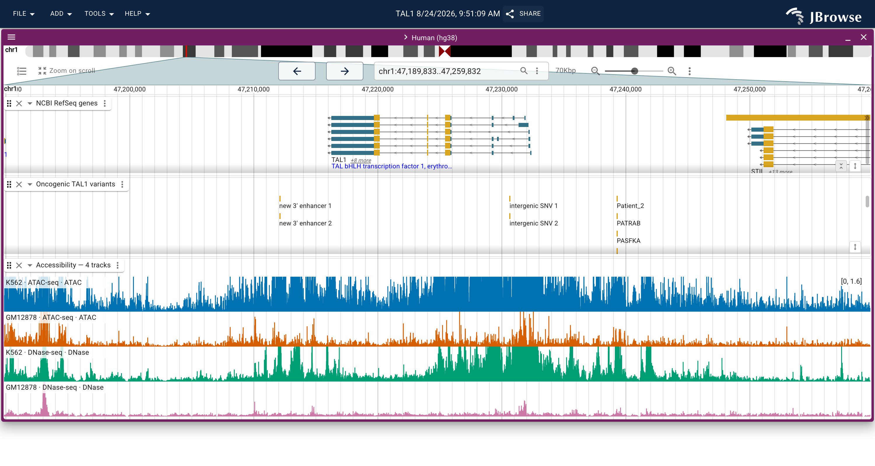 Predicted DNase and ATAC for K562 and GM12878, four rows on one shared y-axis because accessibility is one set of units. The K562 ATAC row runs high across the whole window; the K562 DNase row below it resolves into peaks.
