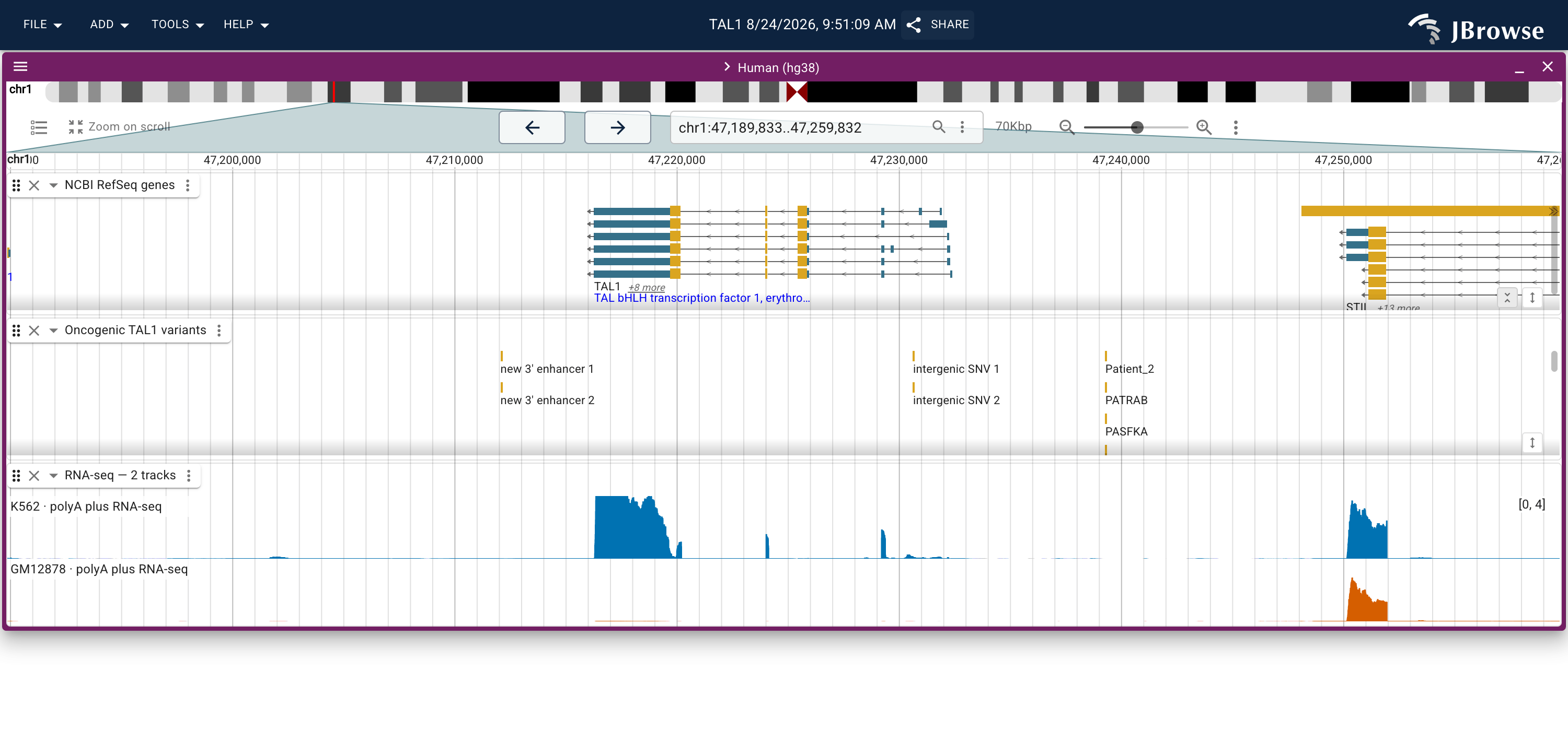 Predicted polyA plus RNA-seq over TAL1 in K562 and GM12878, both rows on one y-axis. The K562 row carries a block of signal across the annotated exons that the GM12878 row does not.