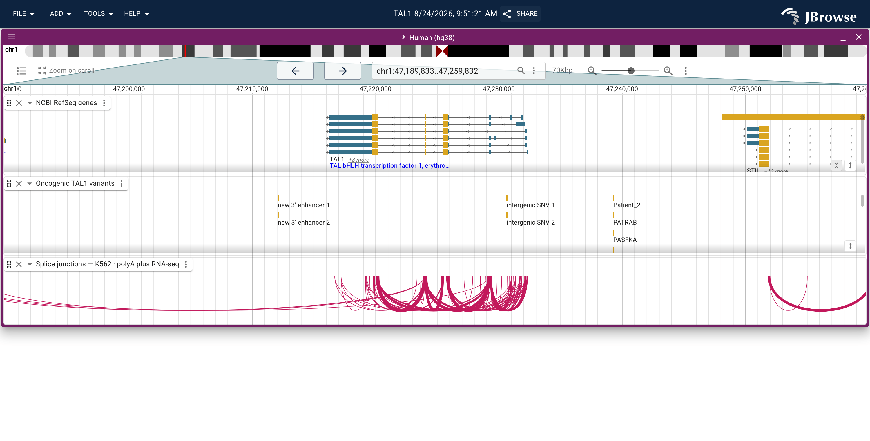 Predicted splice junctions for K562 polyA plus RNA-seq, as sashimi arcs. The arcs span the introns between the TAL1 exons the RefSeq track draws above them, with a second set over STIL to the right.