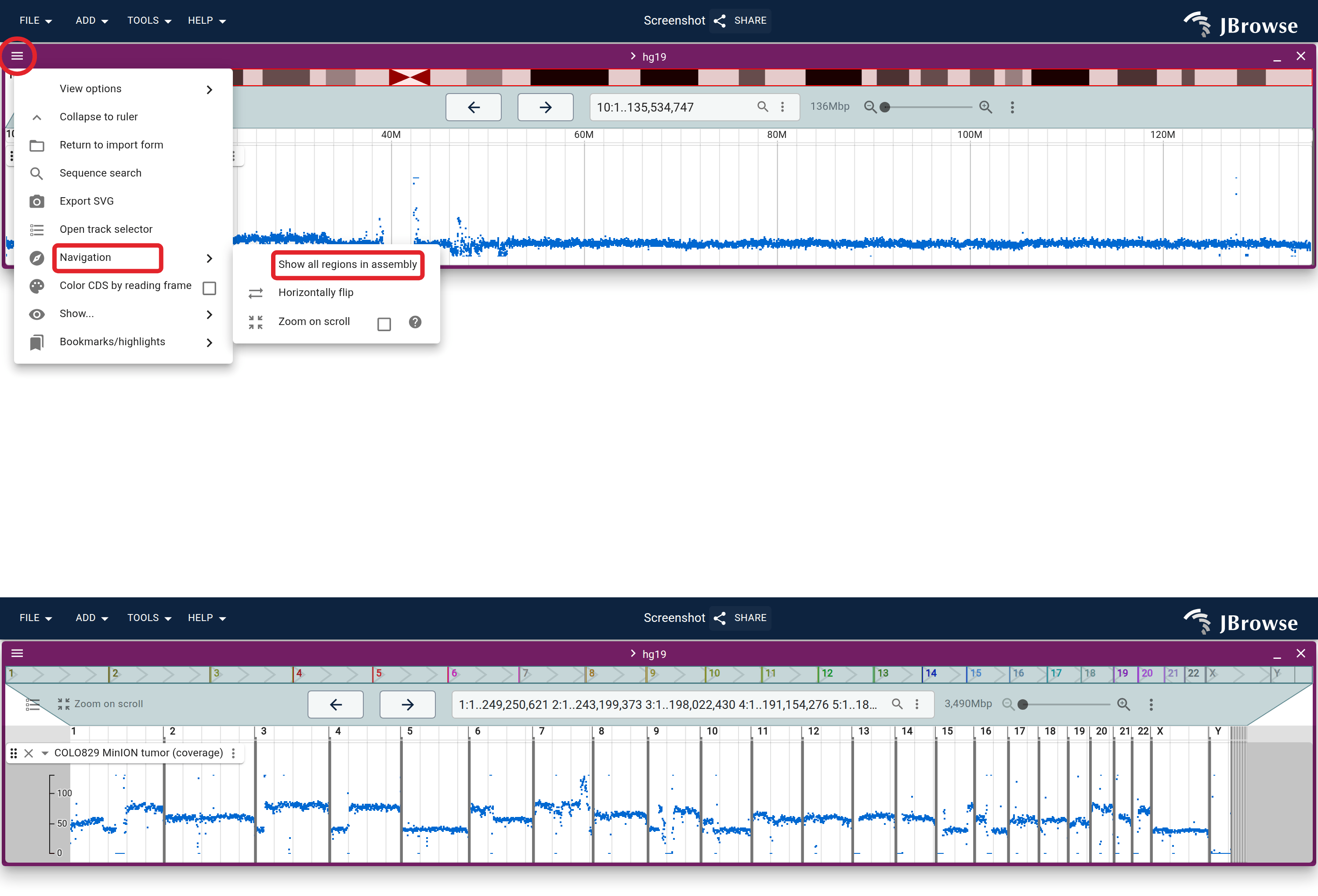 Whole-genome CNV coverage profile from a BigWig file. Each chromosome is shown as a separate region; the signal represents read depth normalized by the pipeline. Copy-number gains appear as elevated signal; losses as depressed signal.