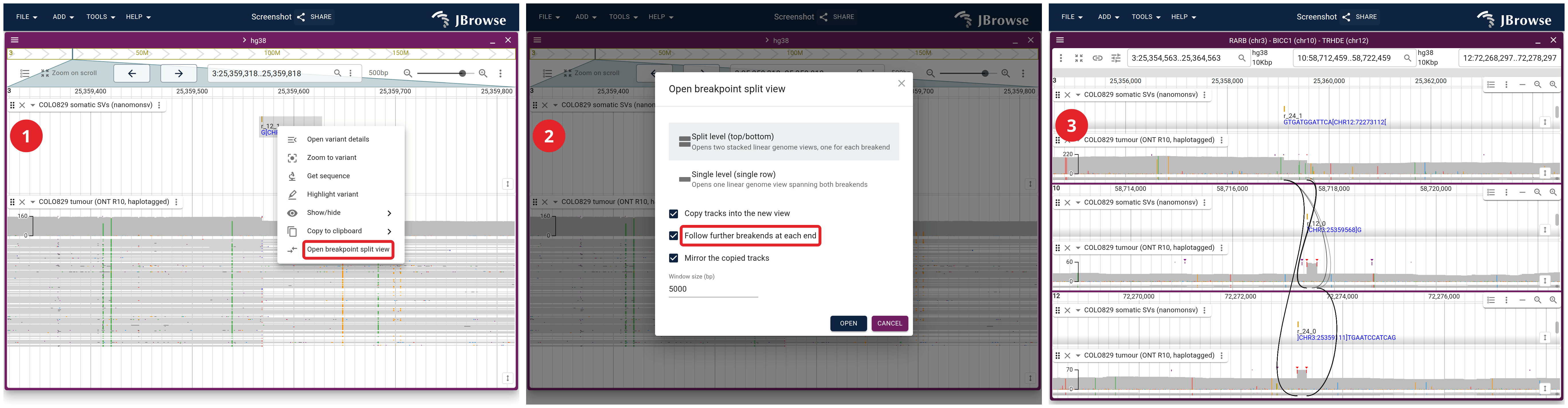 Opening the split view from the record itself: right-click the breakend, set the shape and window in the dialog, and get three panels because the chain runs chr3 to chr10 to chr12.