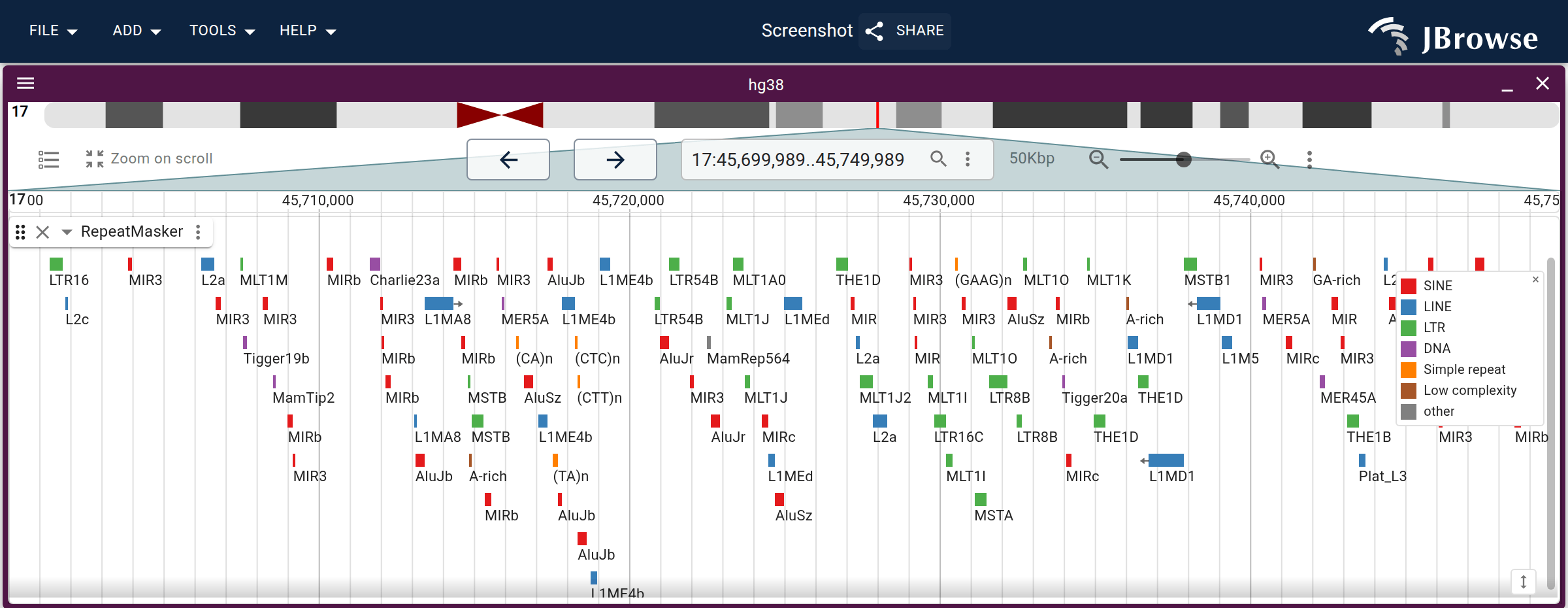 UCSC RepeatMasker over a 17q21 window with the lookup table above: every repeat takes the color of its repClass, and classes not in the table fall through to gray. The key over the track is the legend slot, spelling out what each color stands for.