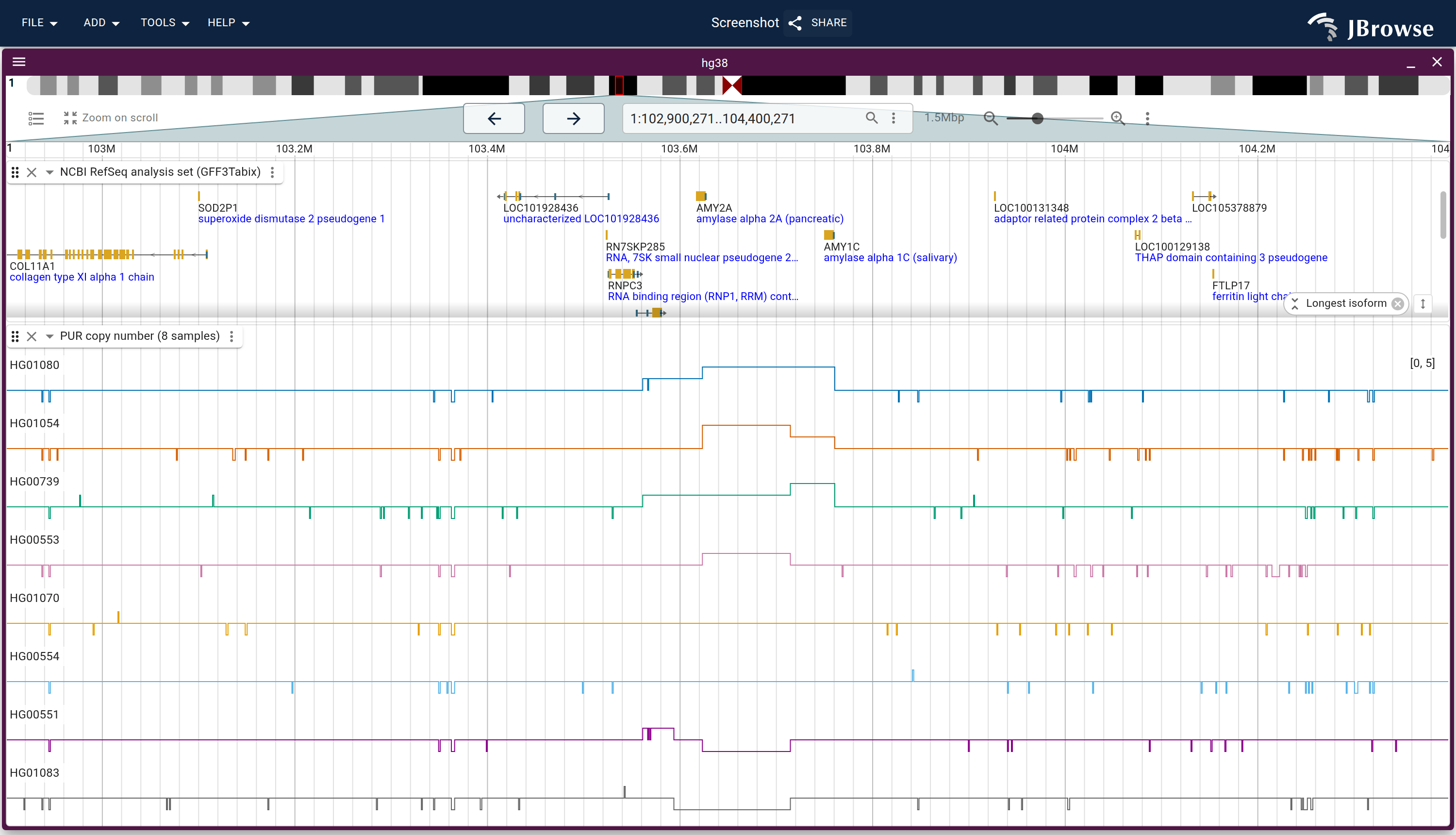 An eight-sample MultiQuantitativeTrack across 1.5 Mb of chr1 (multirowline), each 1000 Genomes individual its own color on a shared 0 to 5 copy-number scale. Every row sits at two copies through the flanks; only the amylase cluster in the middle separates them, from one copy to four.