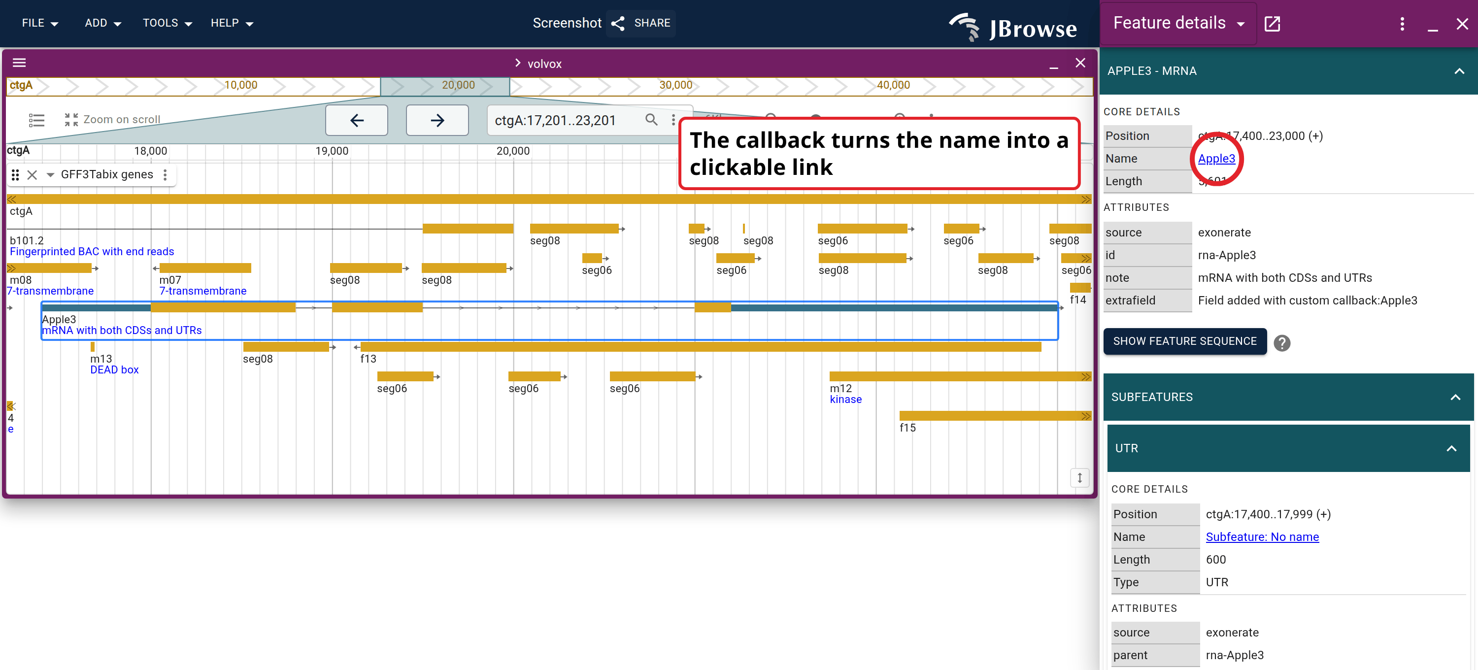 A feature detail panel reshaped by the formatDetails callback above. The red callout marks the name field, which the callback rewrote into an HTML hyperlink (here, a Google search for the gene name) instead of plain text. The same callback also injects the extra 'newfield' row and drops the default 'type' row.