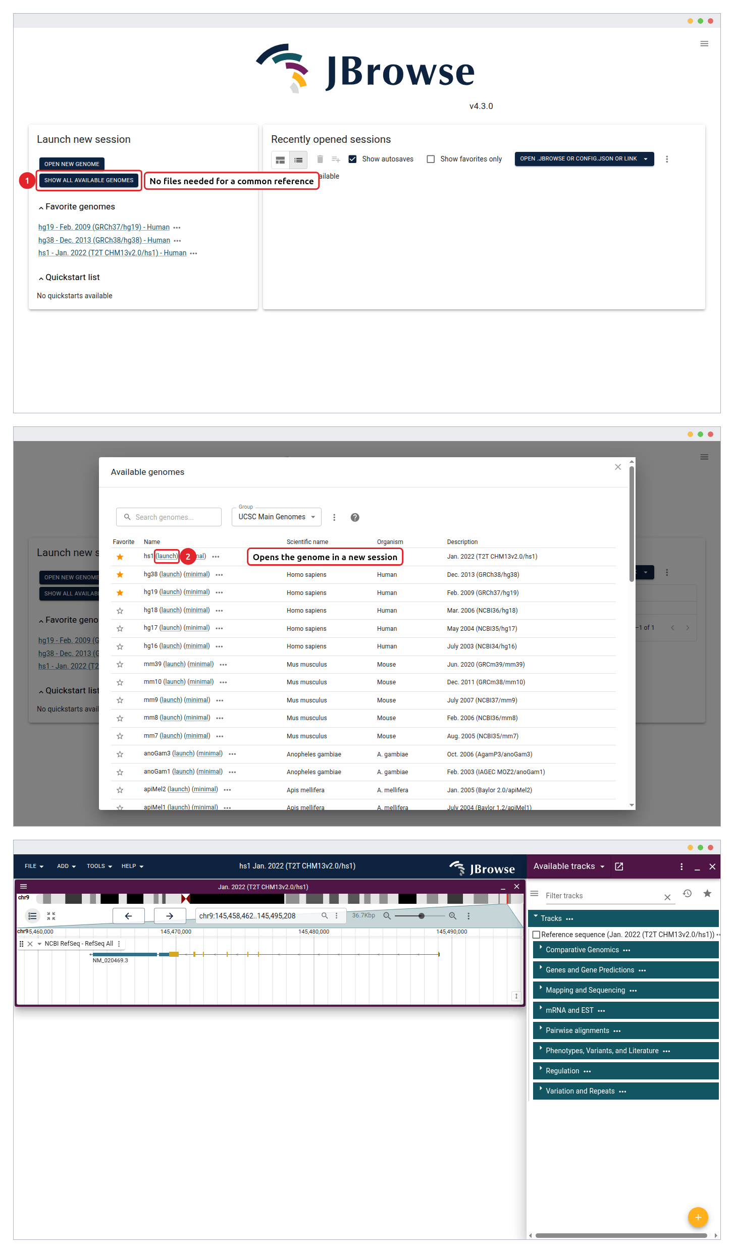 Launching a public assembly. Show all available genomes (1) opens the table, and launch (2) opens a session on that genome, here T2T CHM13v2.0/hs1 with the assembly's hub tracks listed in the track selector.