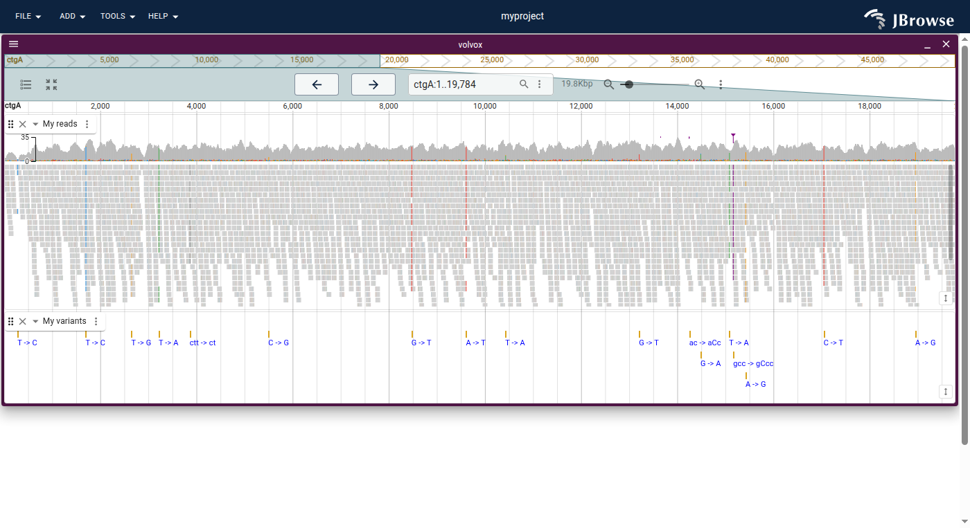 A CLI-built folder opened in JBrowse Desktop by path, with no start screen and no Add track form. The session name, the assembly and the track labels all come from the commands above.