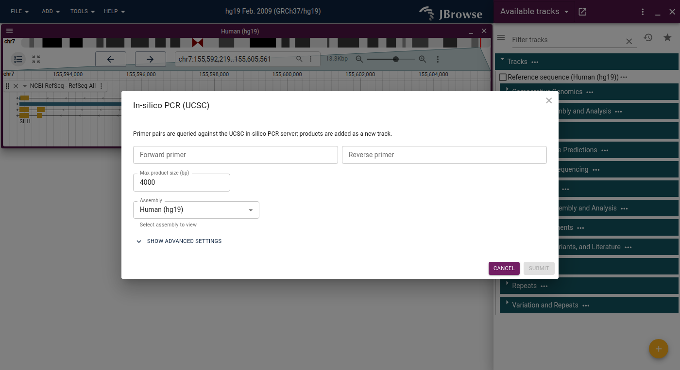 The In-silico PCR dialog on hg19. Forward and reverse primer fields with a max product size, sharing the same assembly picker and advanced apiKey/proxy options as BLAT search.
