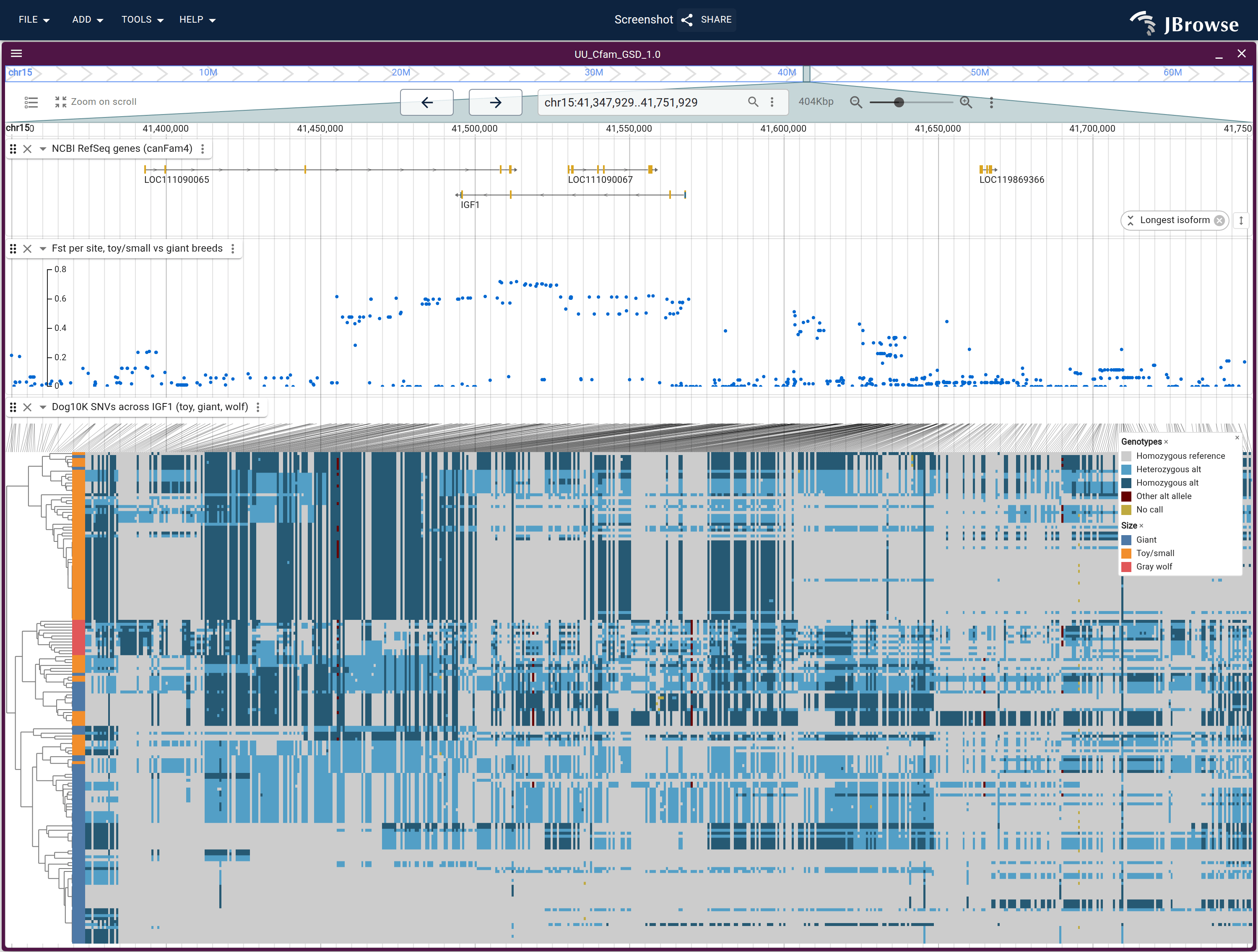 SNVs across 320 kb at IGF1 as a matrix, one row per canid and one column per variant, size class as the sidebar swatch, under per-site Fst between the same two panels. Fst is near zero at both window edges and high across the gene.