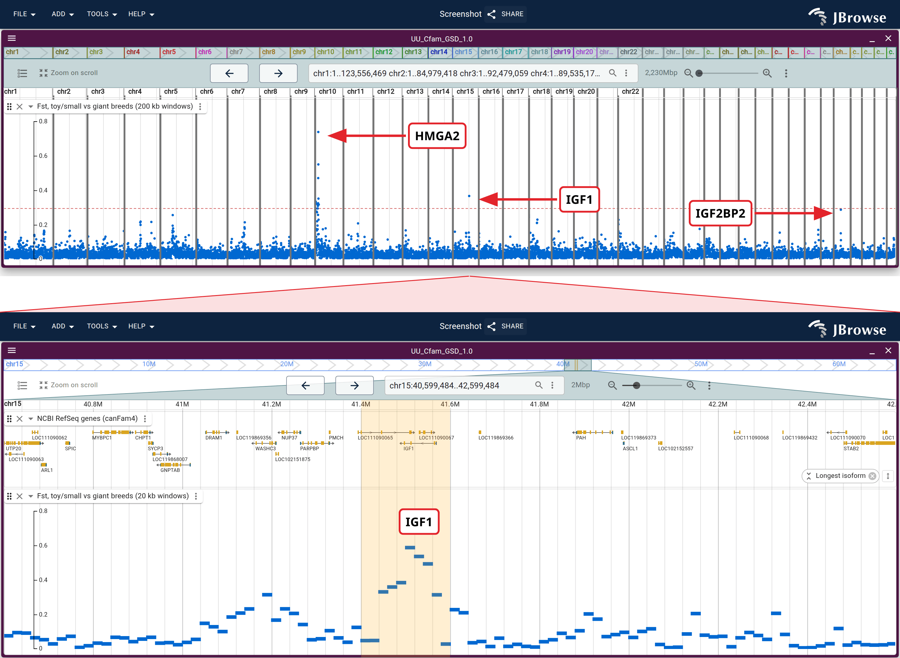 Top: Fst between the toy/small and giant panels in 200 kb windows across the 38 autosomes, three body-size genes labelled, dashed significance line. Bottom: the wedge's span, two megabases of chr15 rebinned to 20 kb, where that point resolves into a sweep sitting on IGF1. The band is the top half's own 200 kb window.
