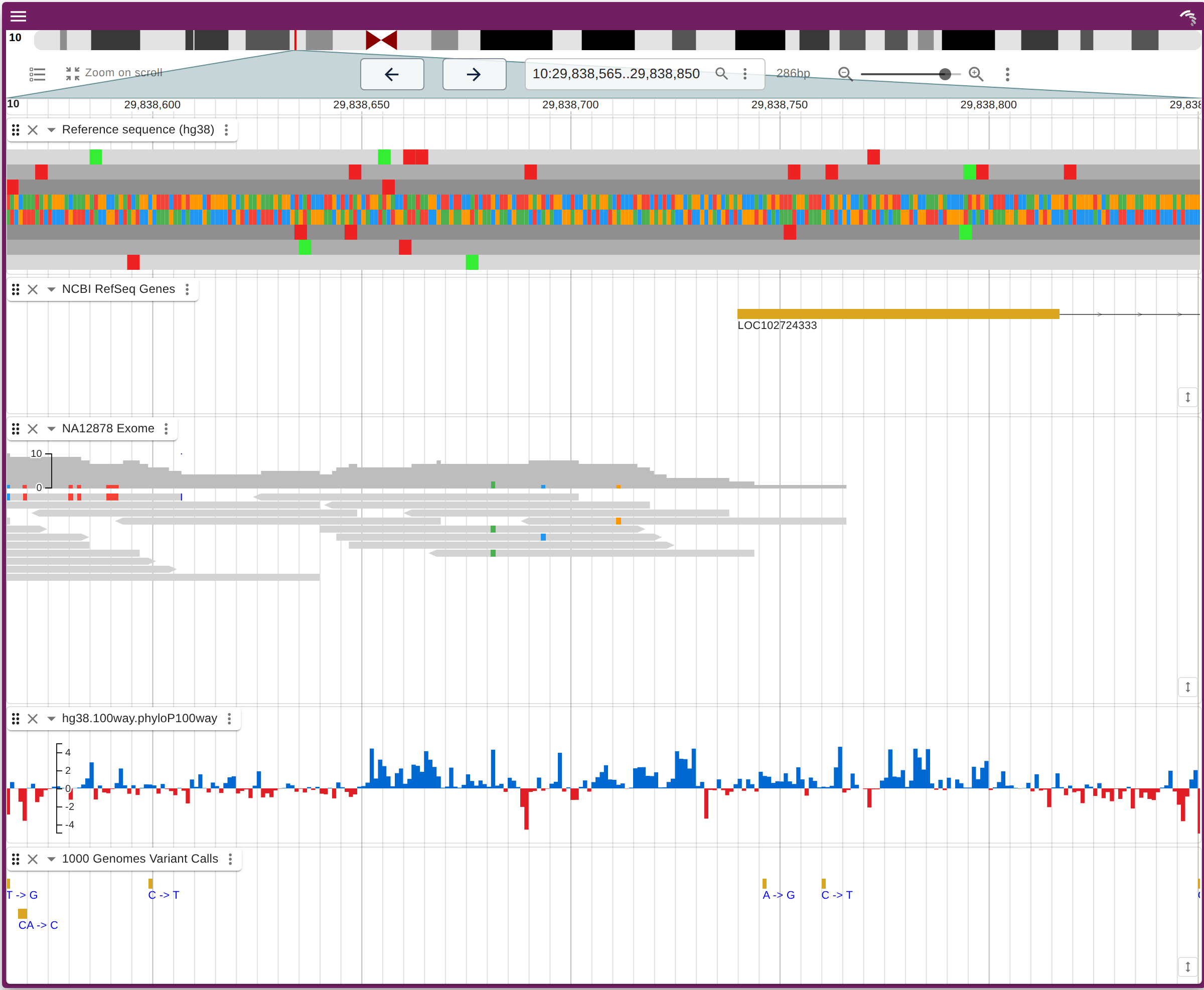 JBrowse linear genome view in a web page