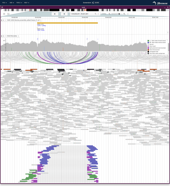 Pair orientation coloring